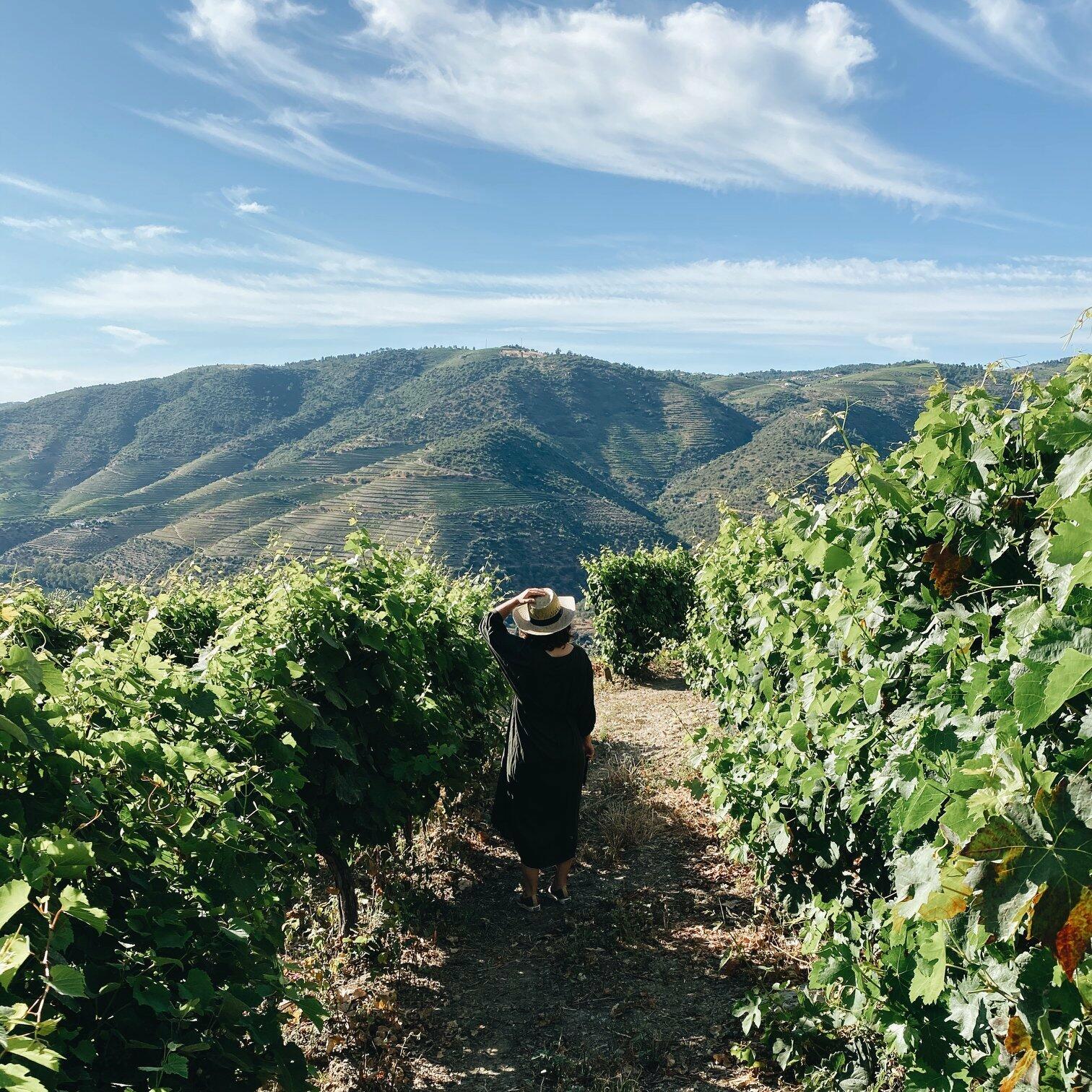 Quinta da Gricha – Terroir Tasting