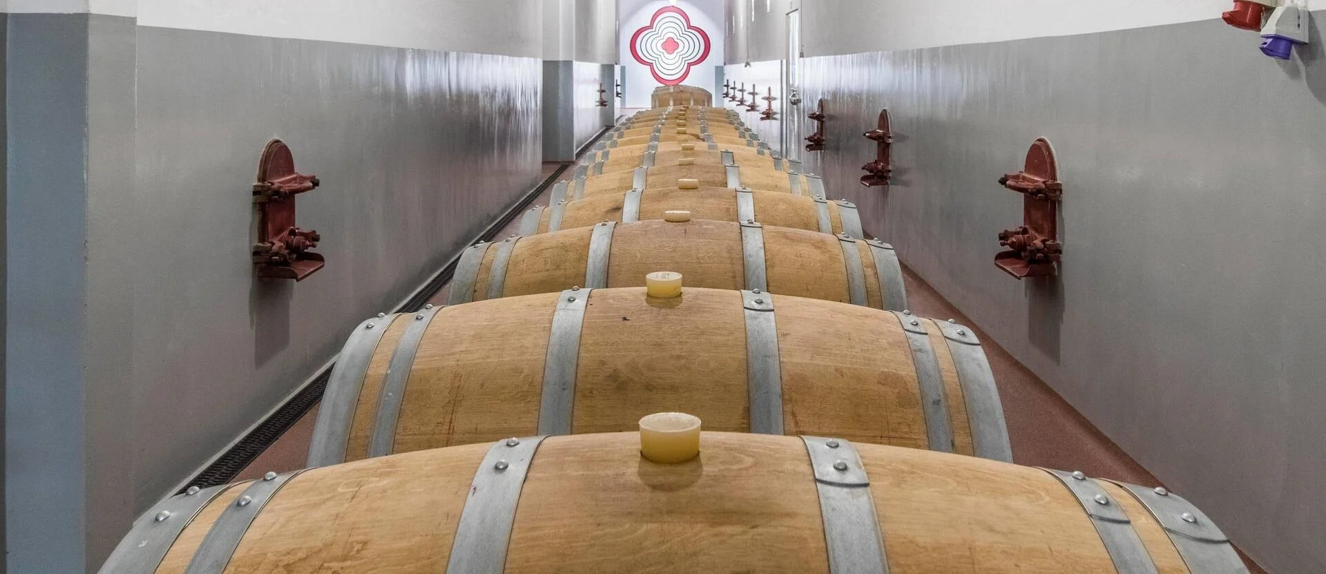 Pedra Cancela – Visita & Picnic na Vinha