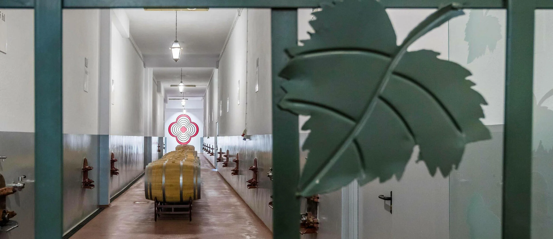 Pedra Cancela – Visita & Picnic na Vinha