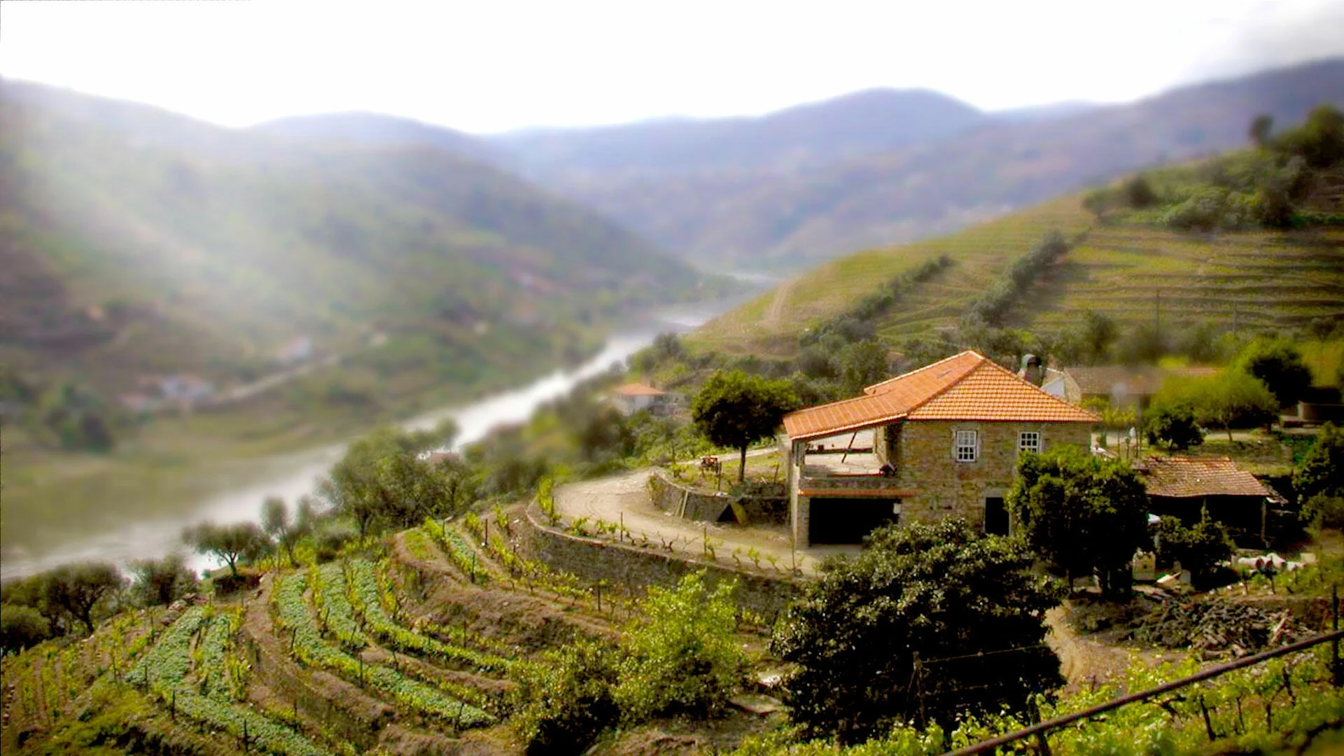 Alves de Sousa – Visita & Prova Premium