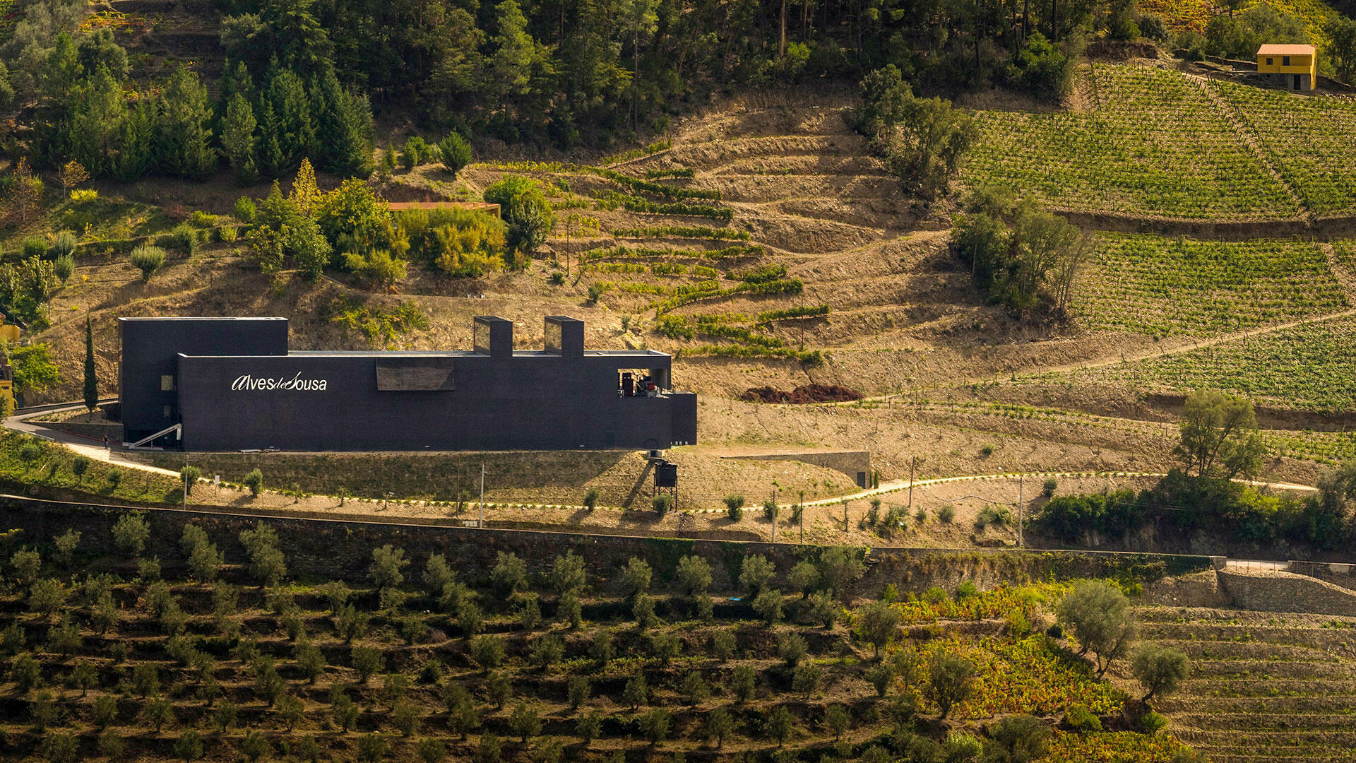 Alves de Sousa – Visita & Prova Clássica