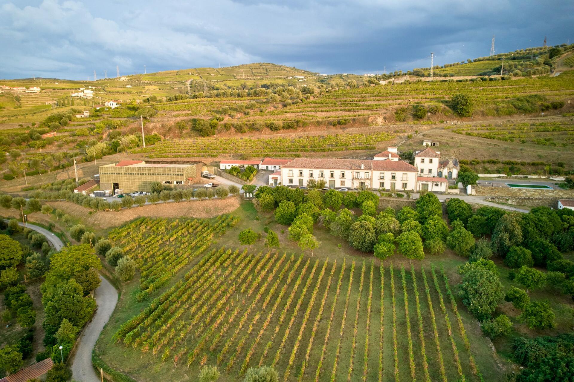 Quinta do Mourão – Prova “Mother & Sons”