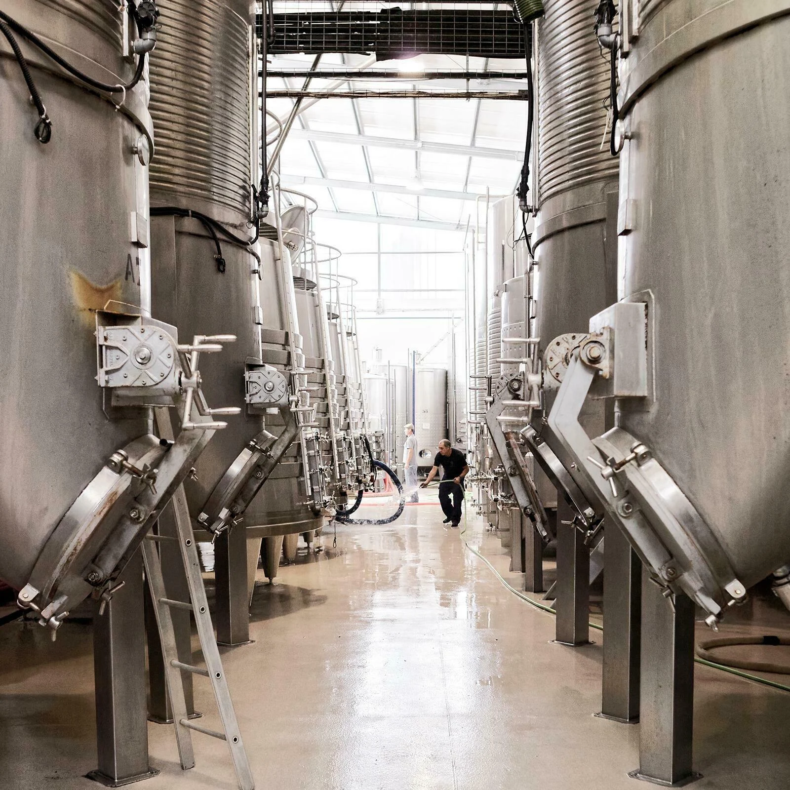 Quinta do Gradil – Vinhos, Queijos & Enchidos