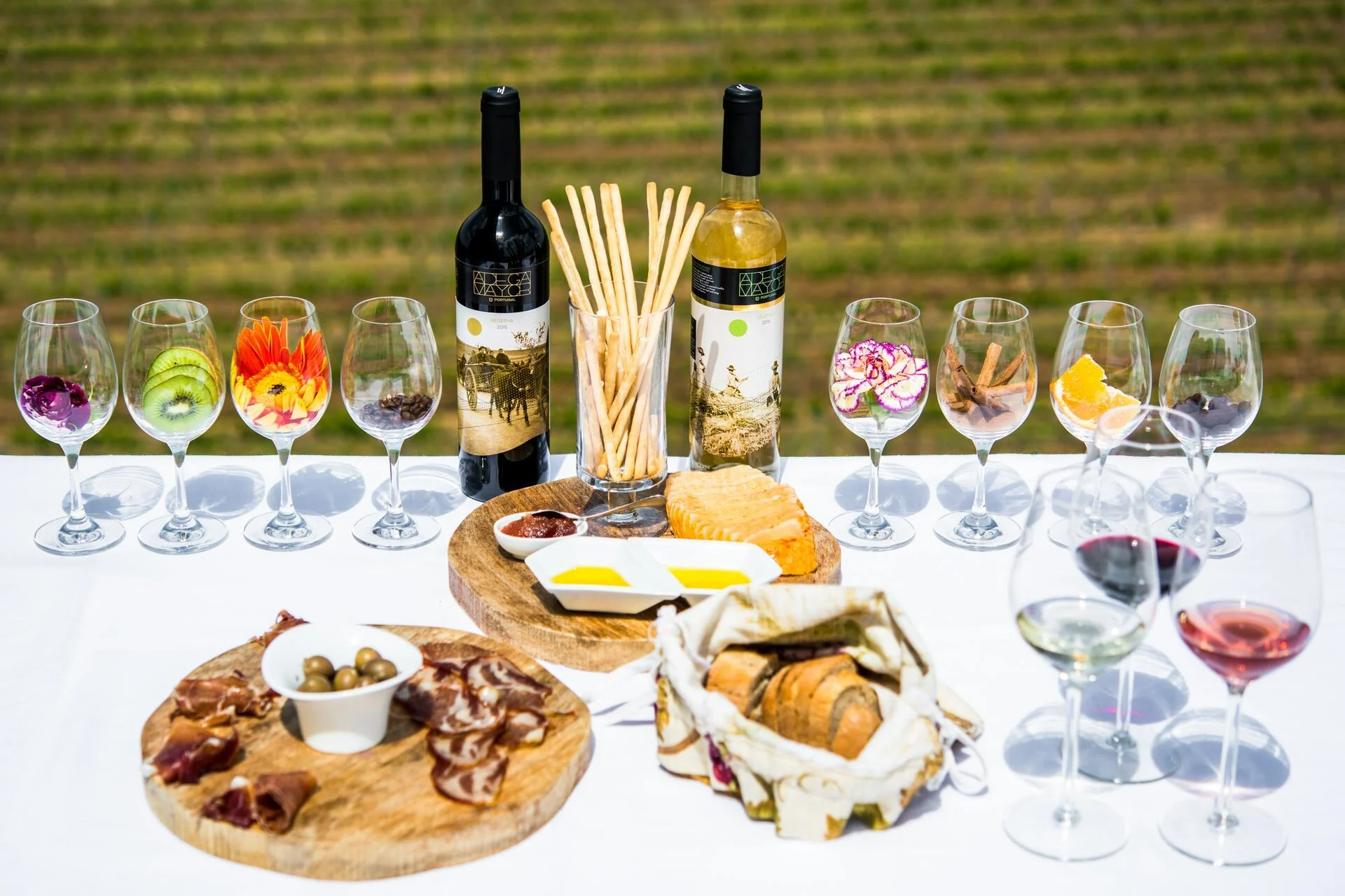 Adega Mayor – Wine Workshop