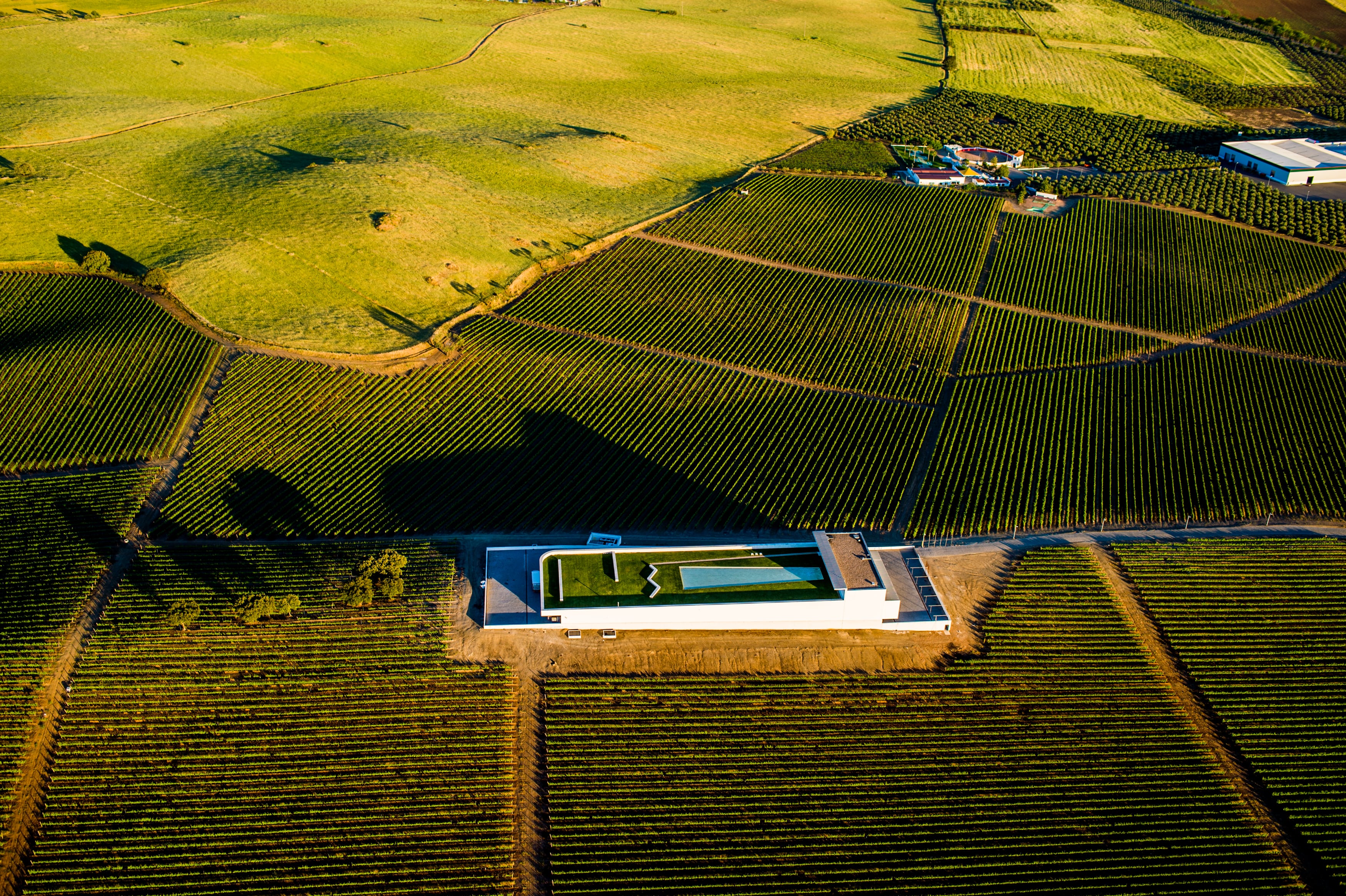 Adega Mayor – Wine Workshop