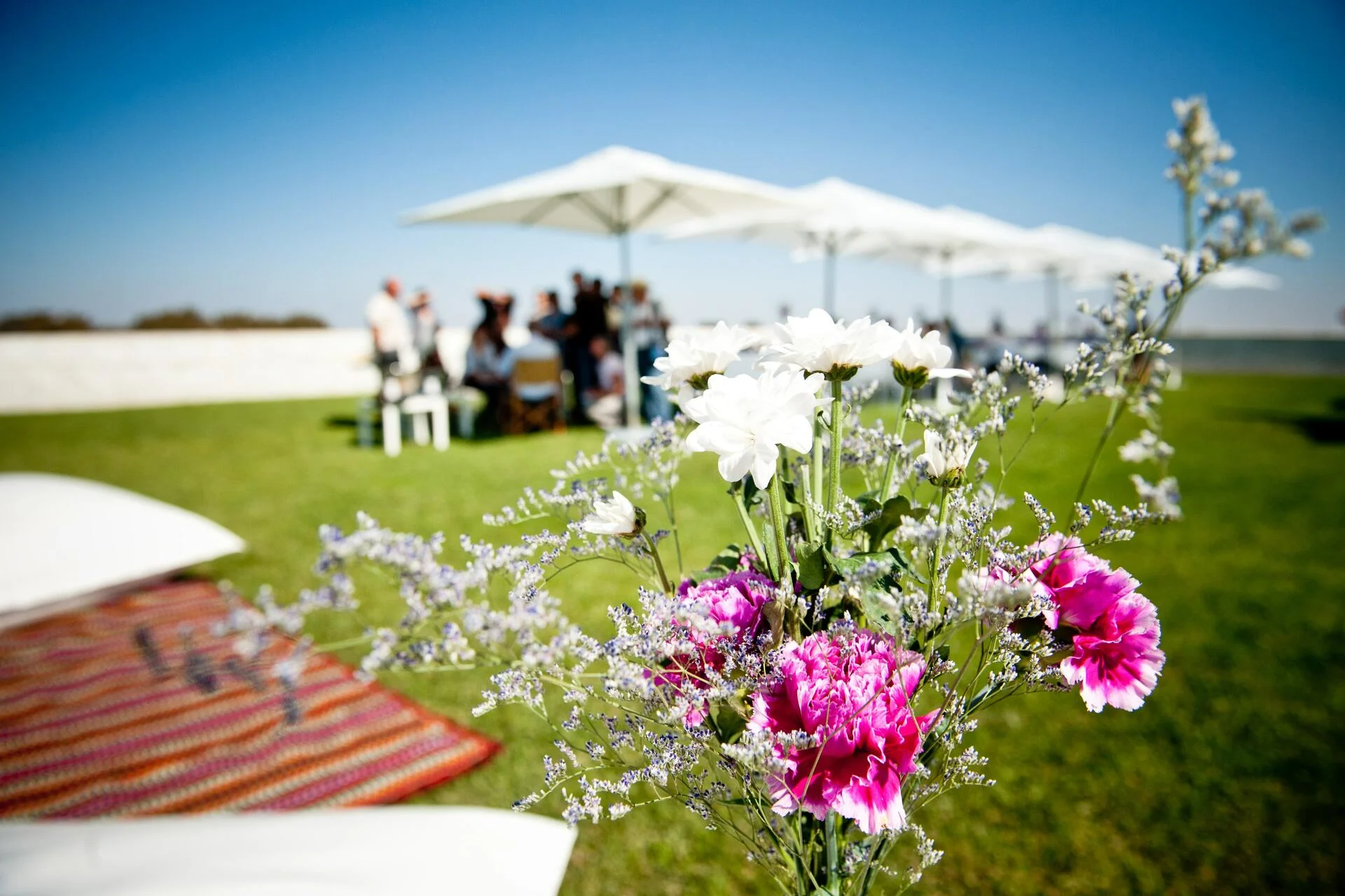 Adega Mayor – Wine Workshop