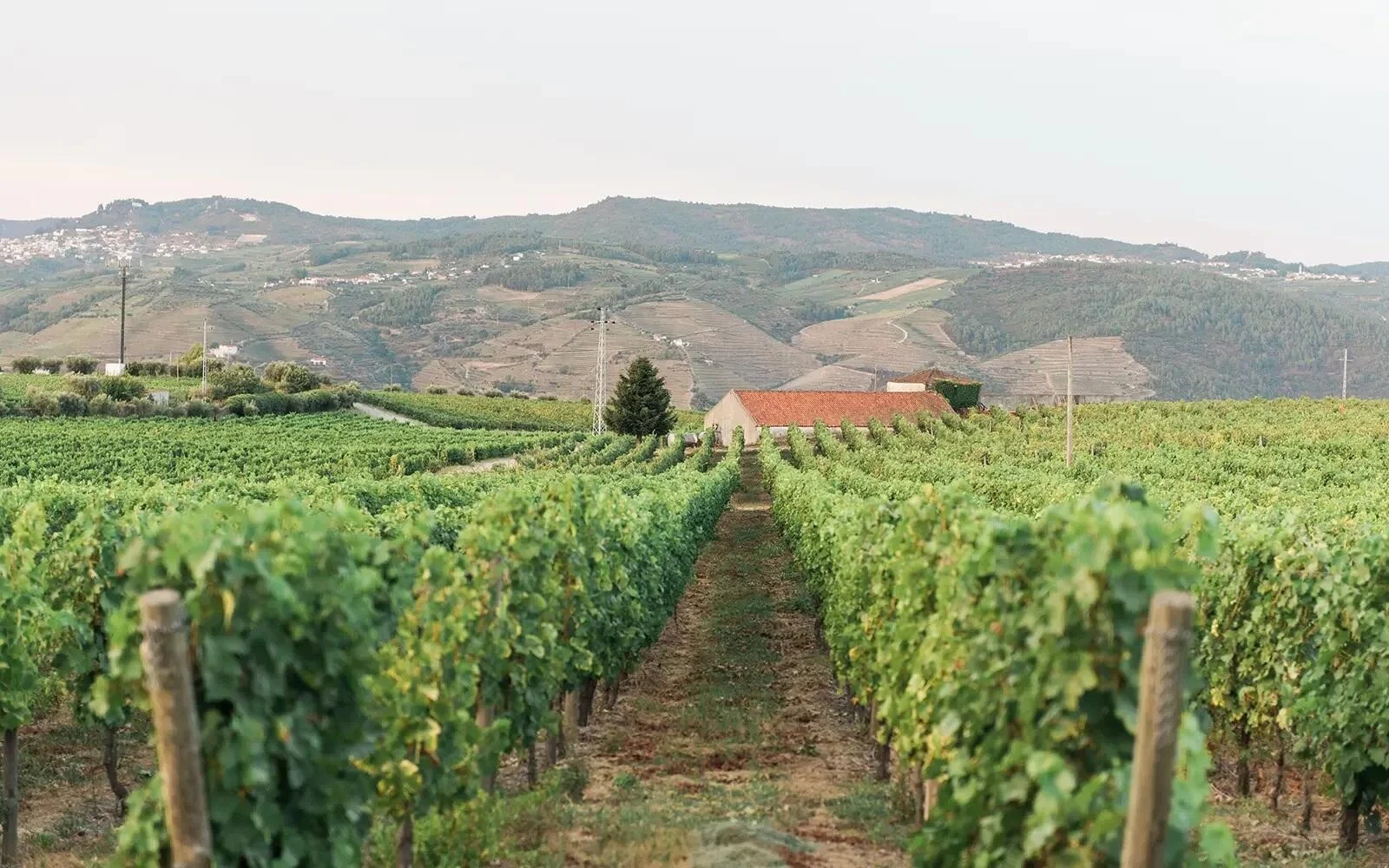 The Manor House – Visita & Prova Três Terroirs