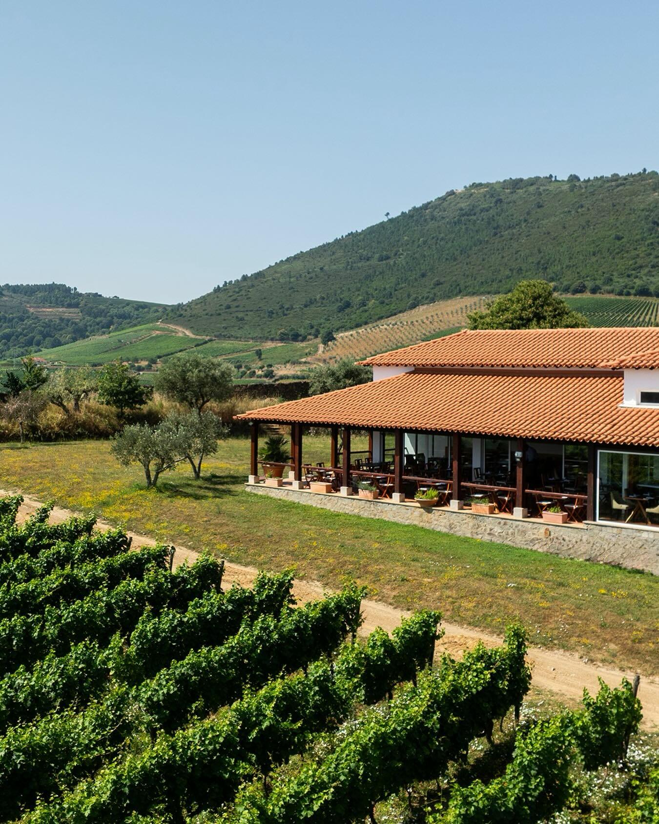 The Manor House – Douro Wine Lover