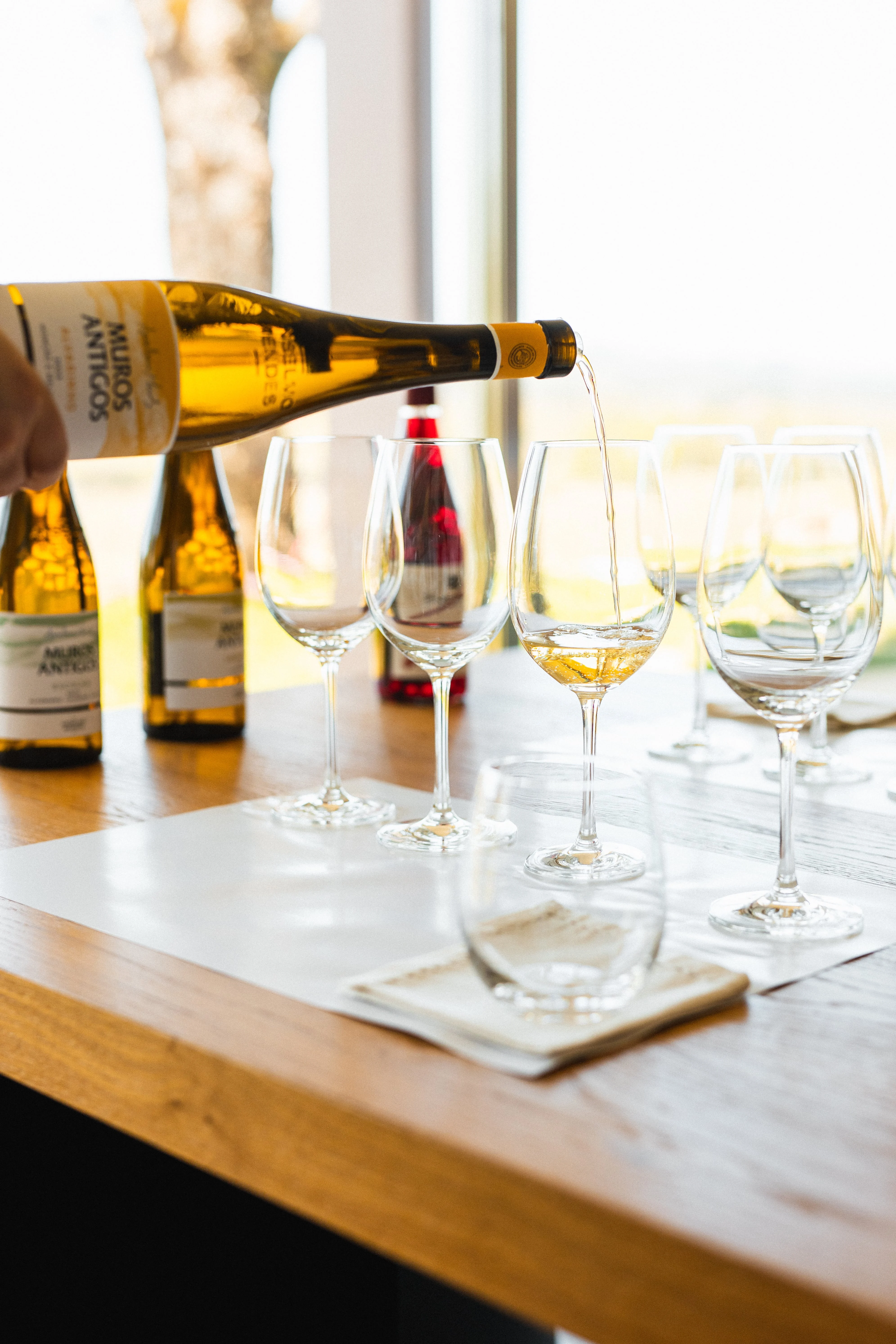 Quinta da Torre – À Descoberta do Loureiro