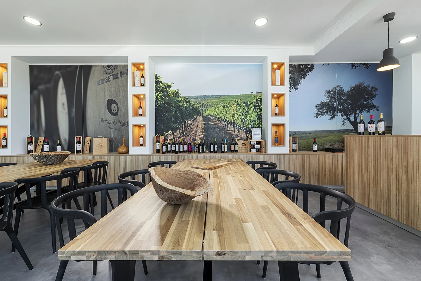 Herdade da Ajuda – Visita & Prova Reserva