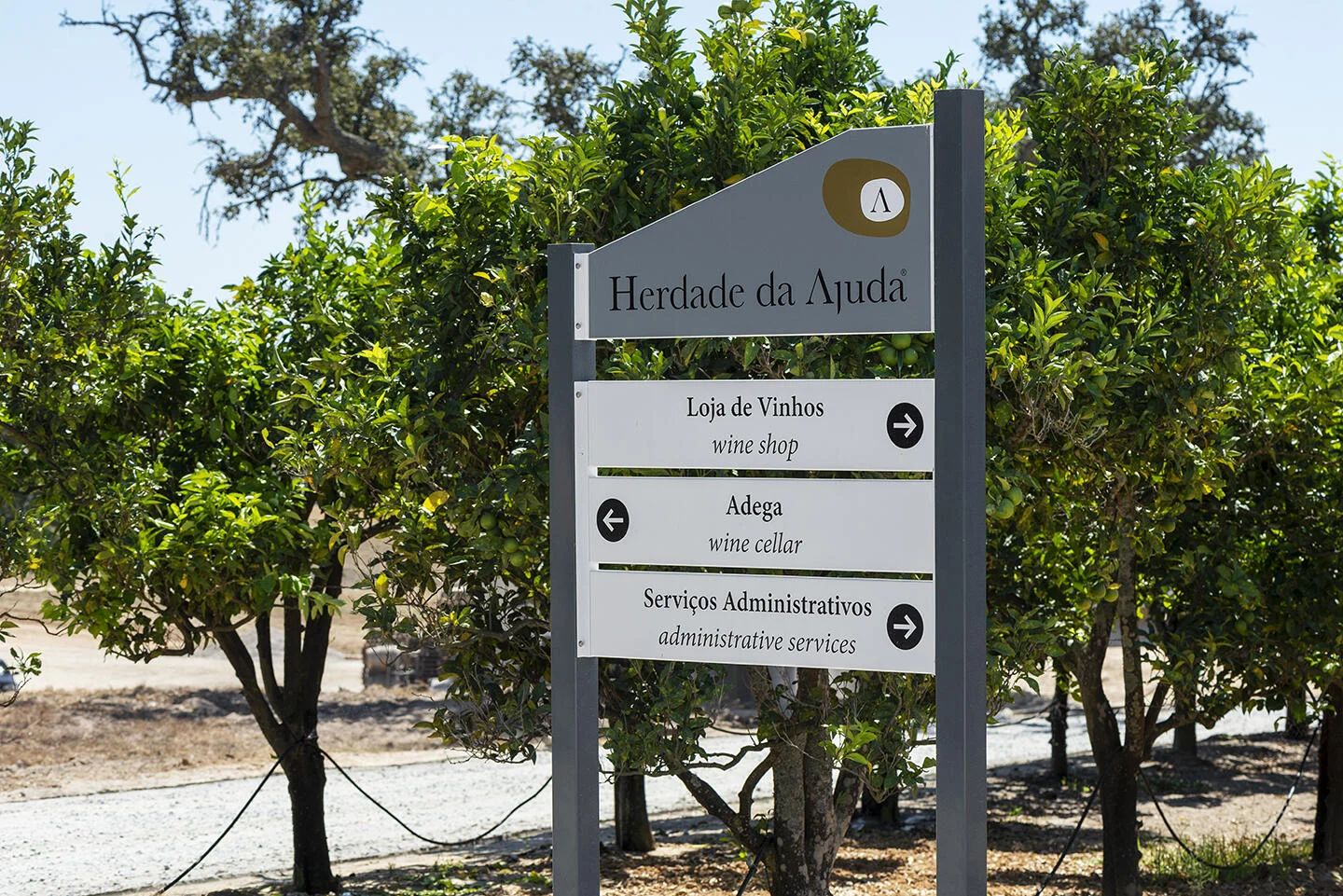 Herdade da Ajuda – Visita & Prova Completa
