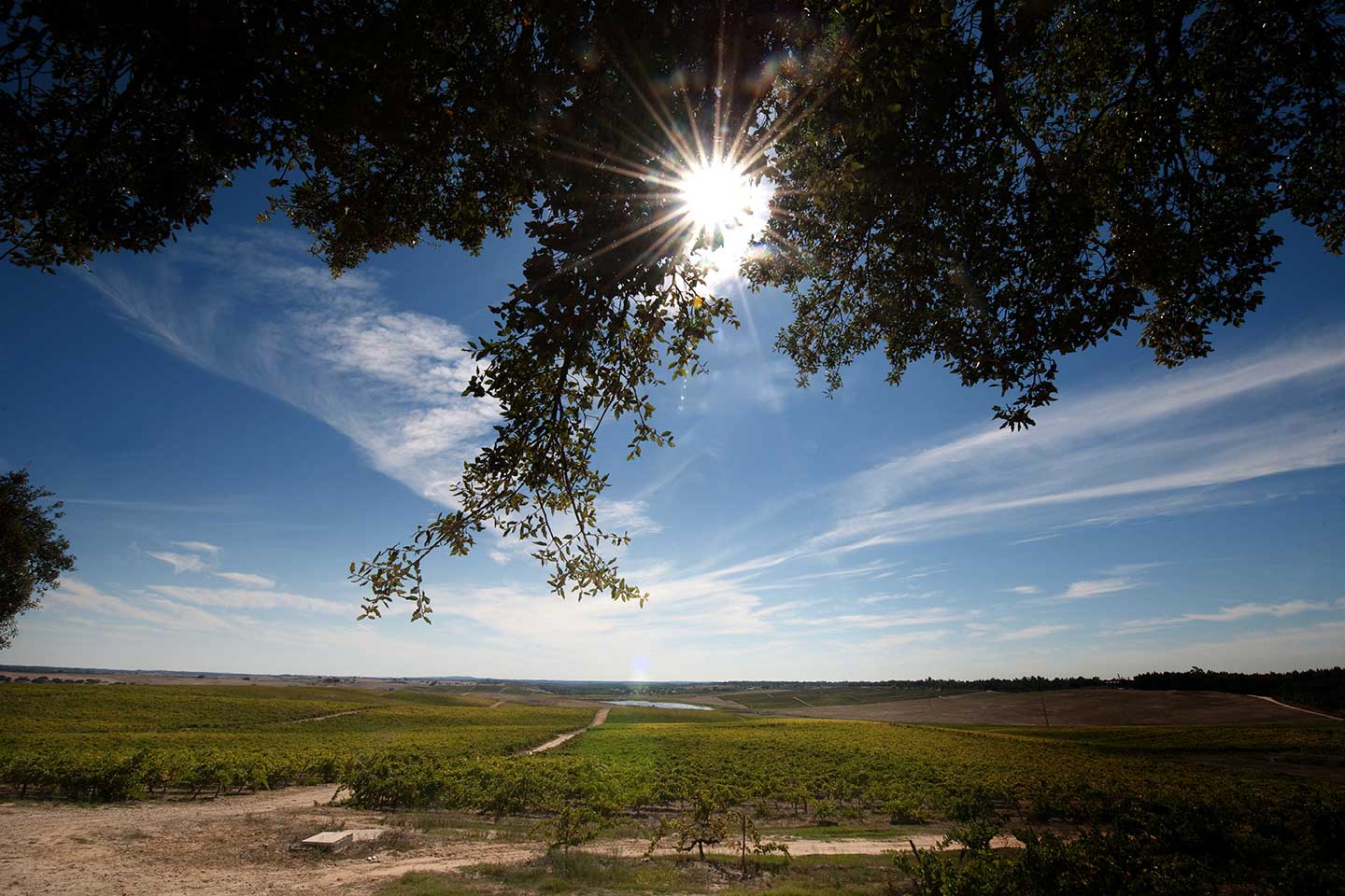 Herdade da Ajuda – Piquenique
