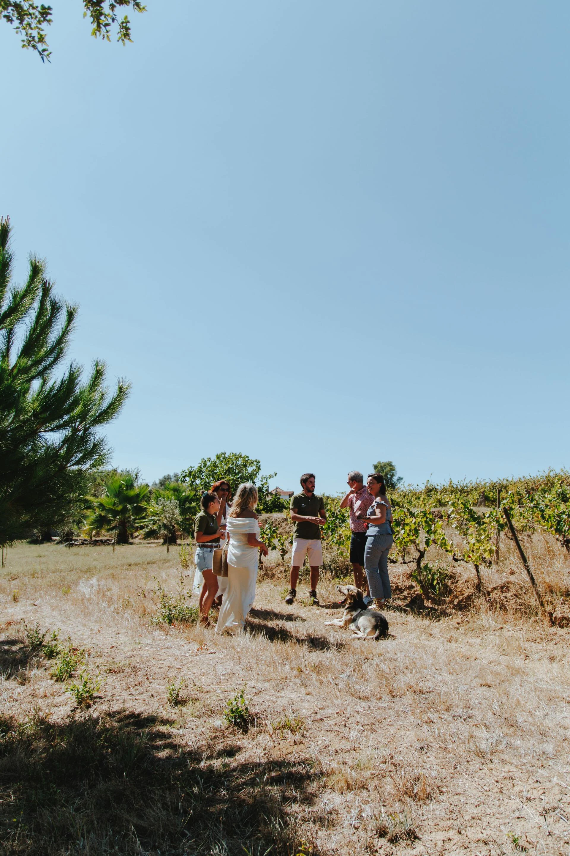 Adega da Gaveta – Piquenique Vínico a Dois!