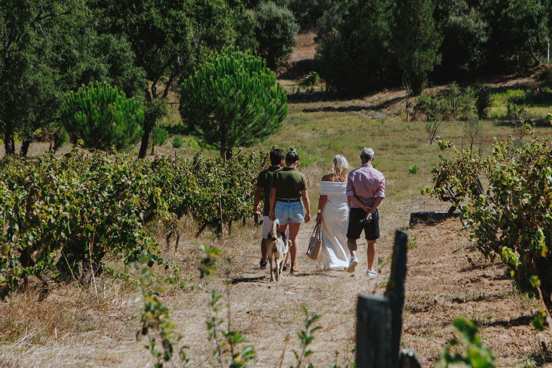 Adega da Gaveta – Piquenique Vínico a Dois!