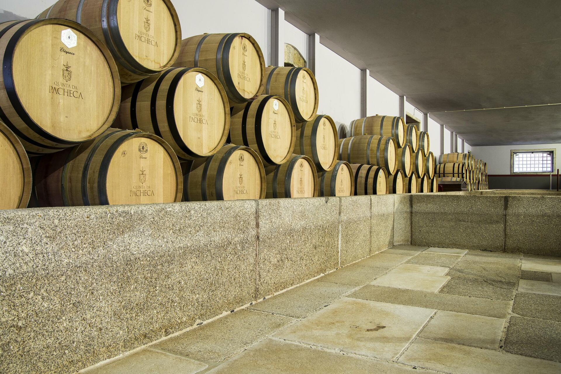 Quinta da Pacheca – Visita & Lagarada Tradicional