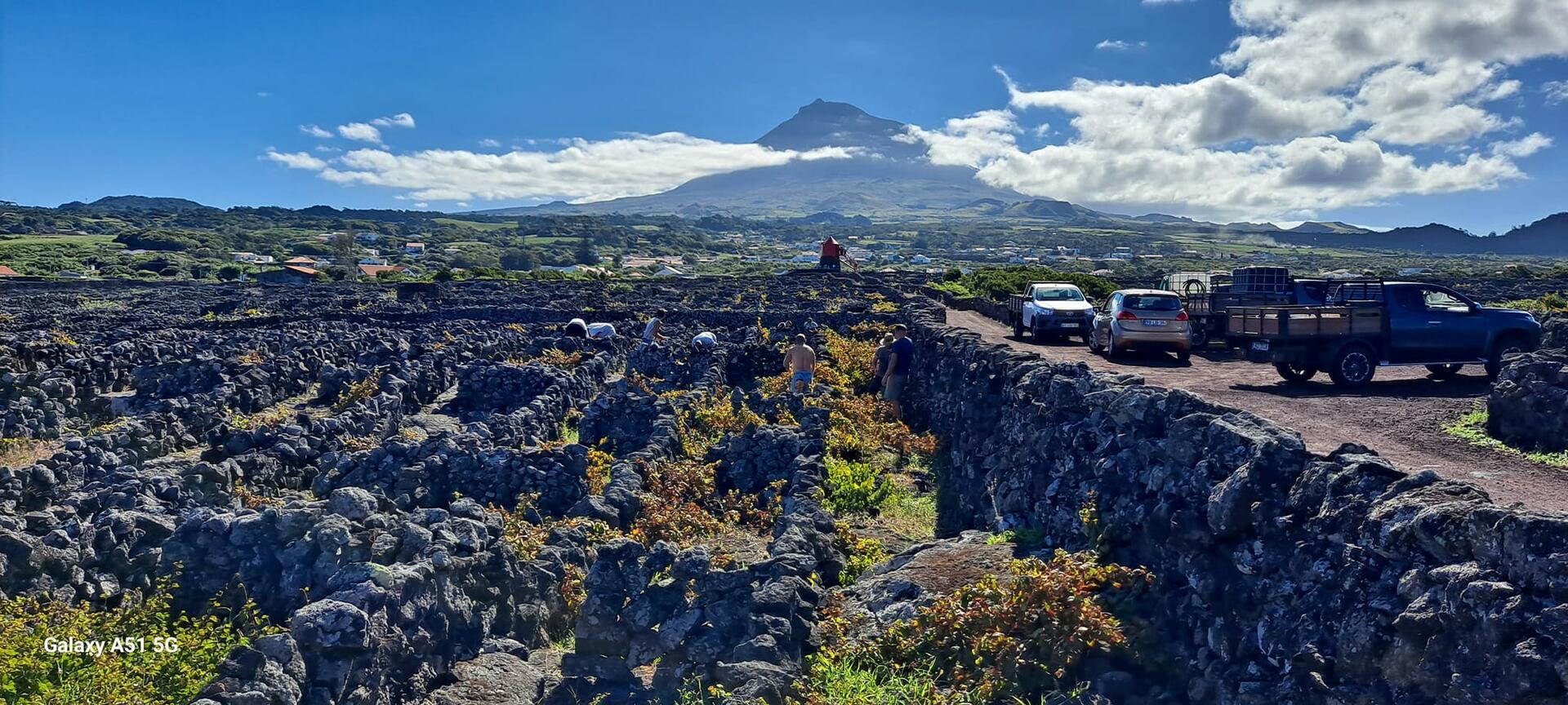 Czar Winery – Visita & Prova de Vinhos