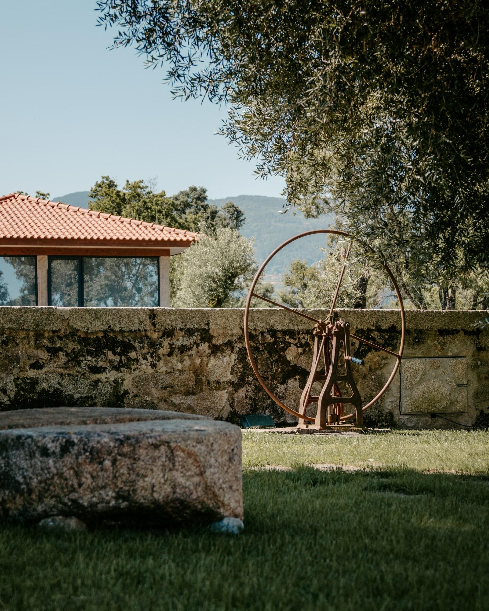 Quinta da Torre – Experiência de Vindima