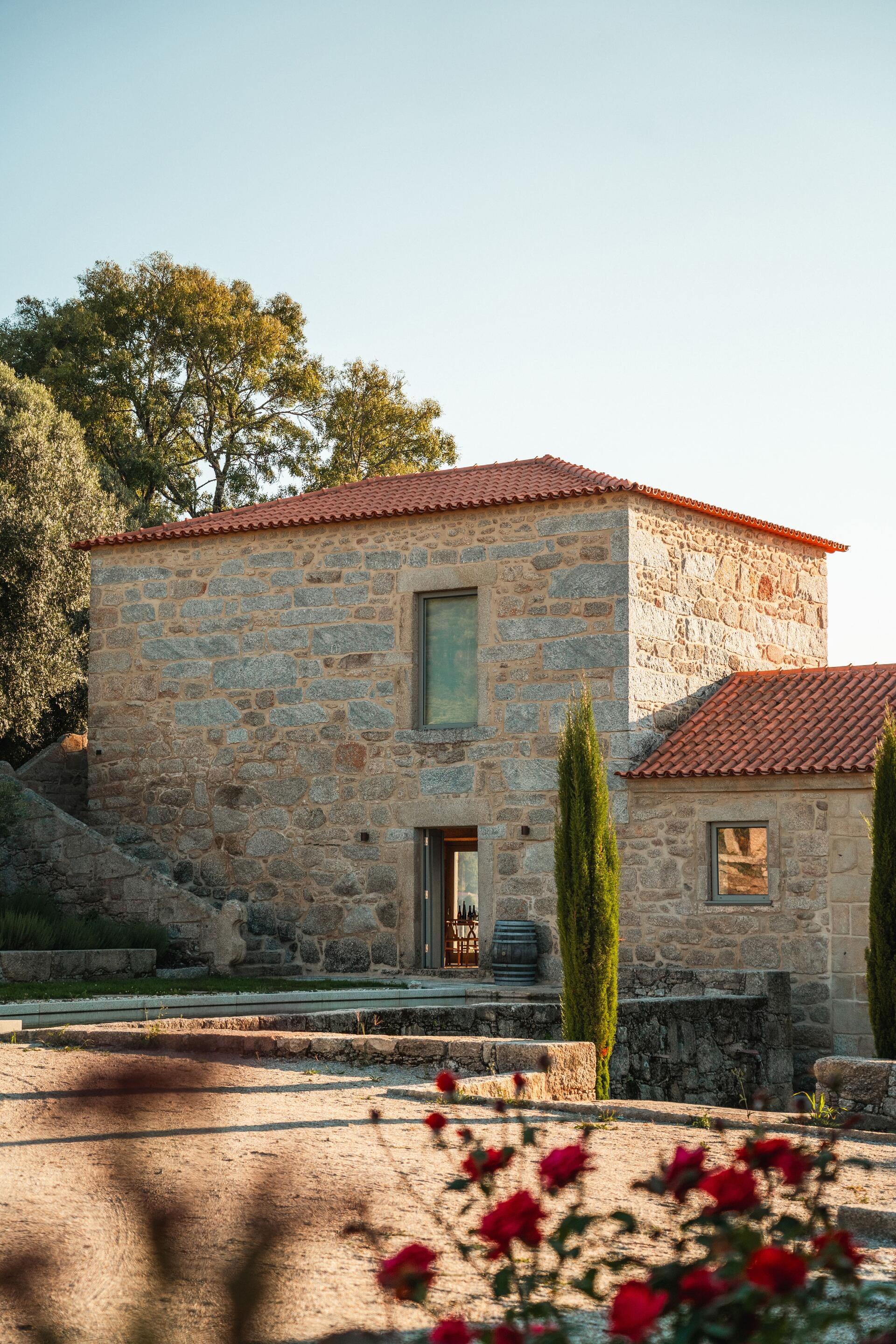 Quinta da Torre – Experiência de Vindima