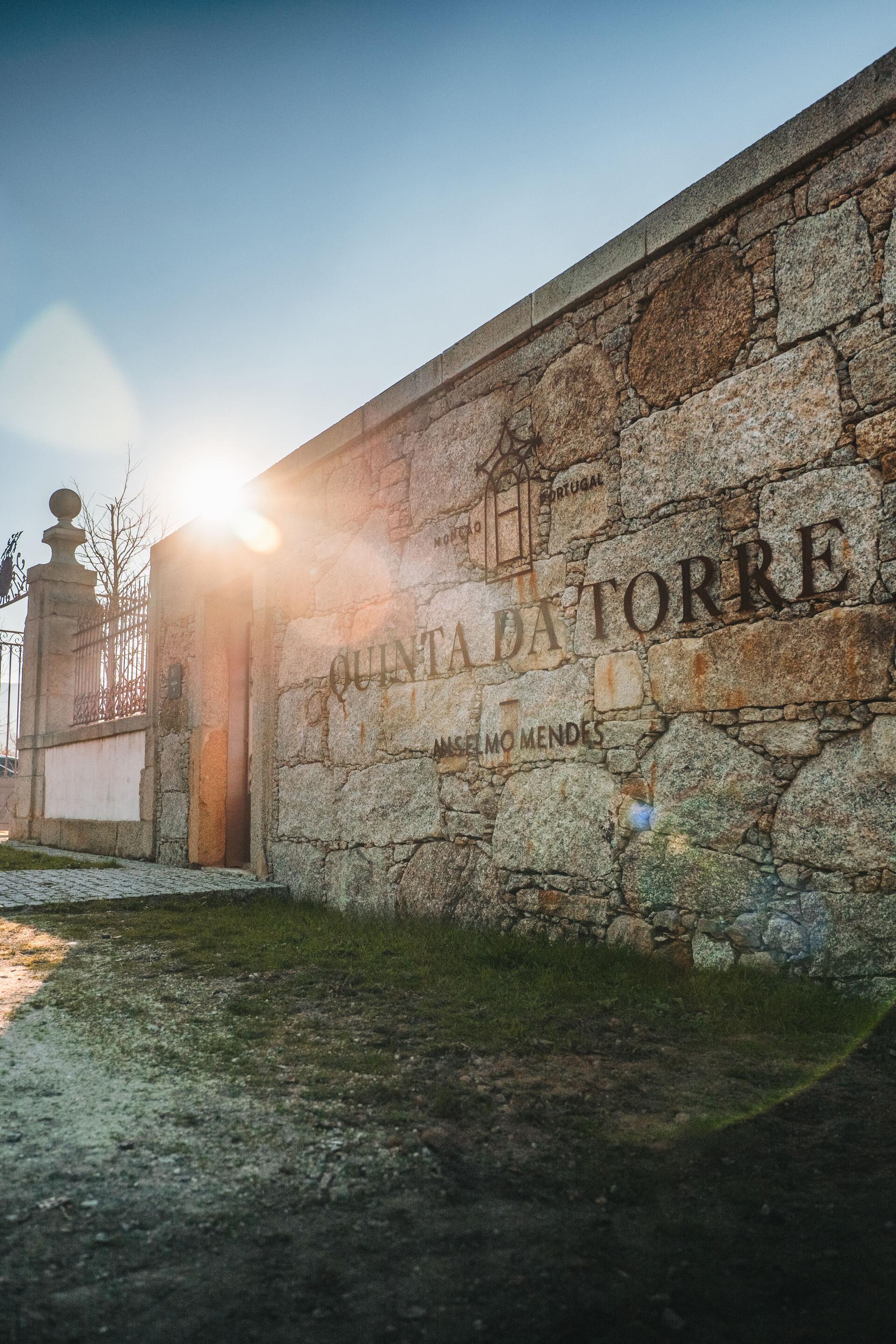 Quinta da Torre – Experiência de Vindima