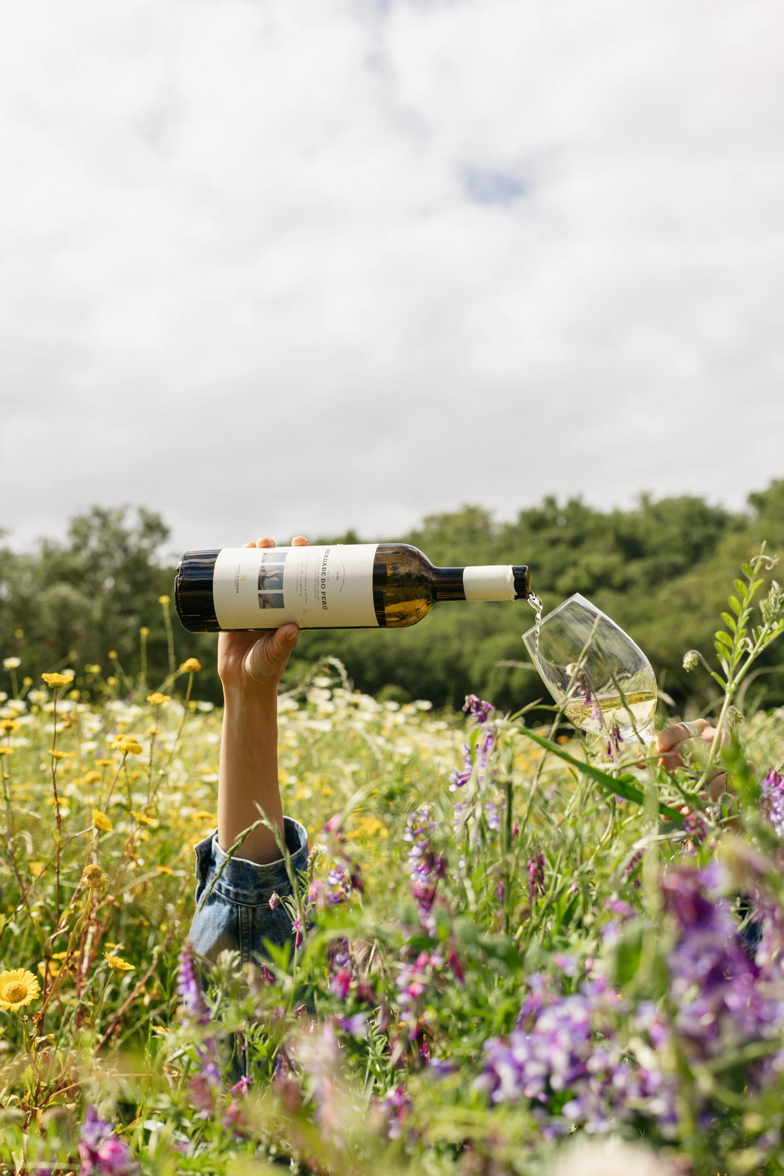 Setúbal Wine Heritage