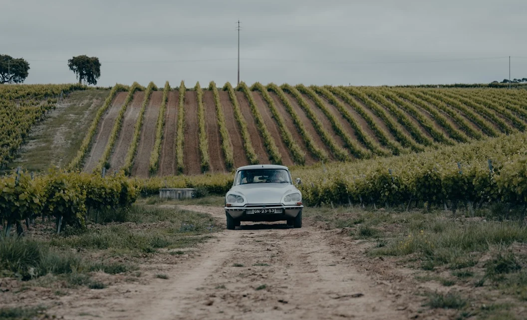 Quinta da Almiara – Classic Car Adventure