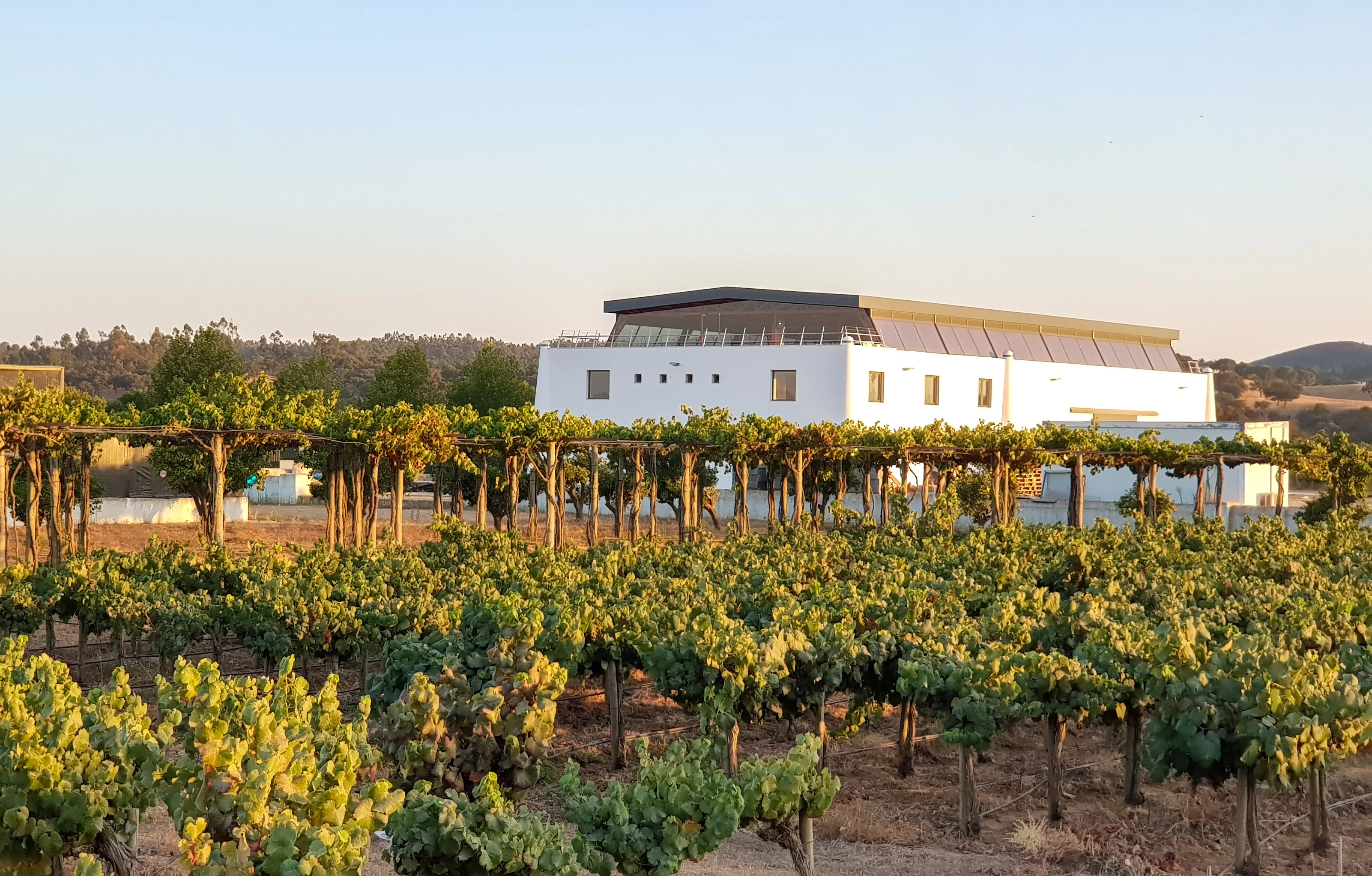Herdade Canal Caveira – SB 4 Vinhos & Tapas