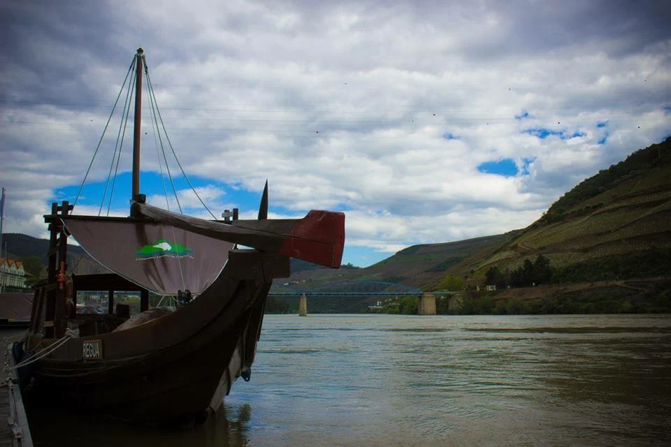 Pinhão – Romaneira – Pinhão