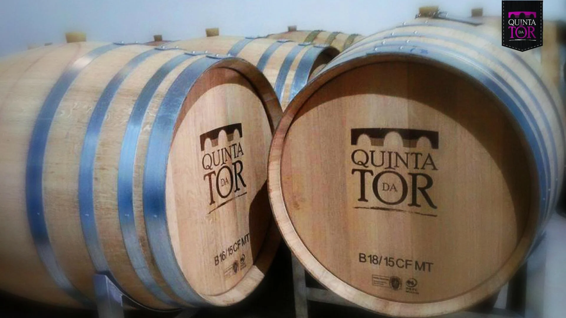 Quinta da Tôr – Prova Madeirinha