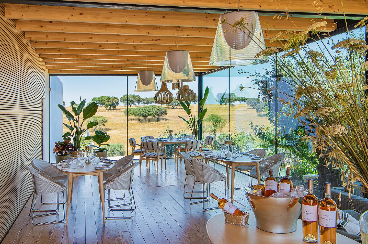 Herdade da Malhadinha Nova – Visita & Almoço