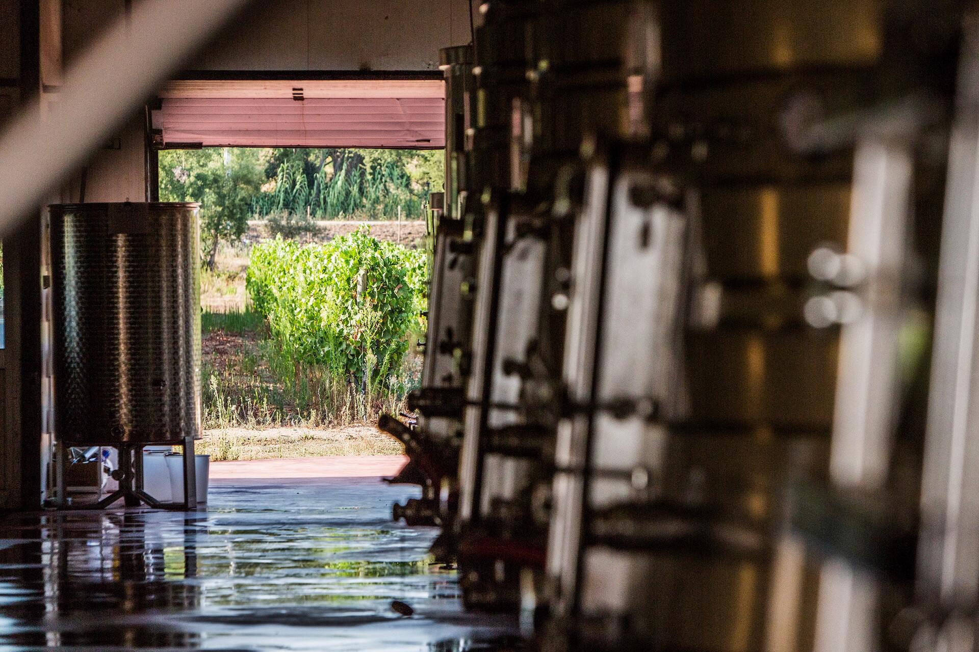 Monte da Raposinha – Visita & Prova de Vinhos