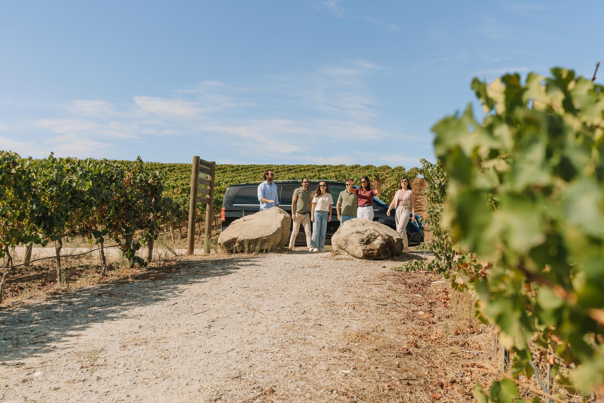 Programa Especial de Vindima