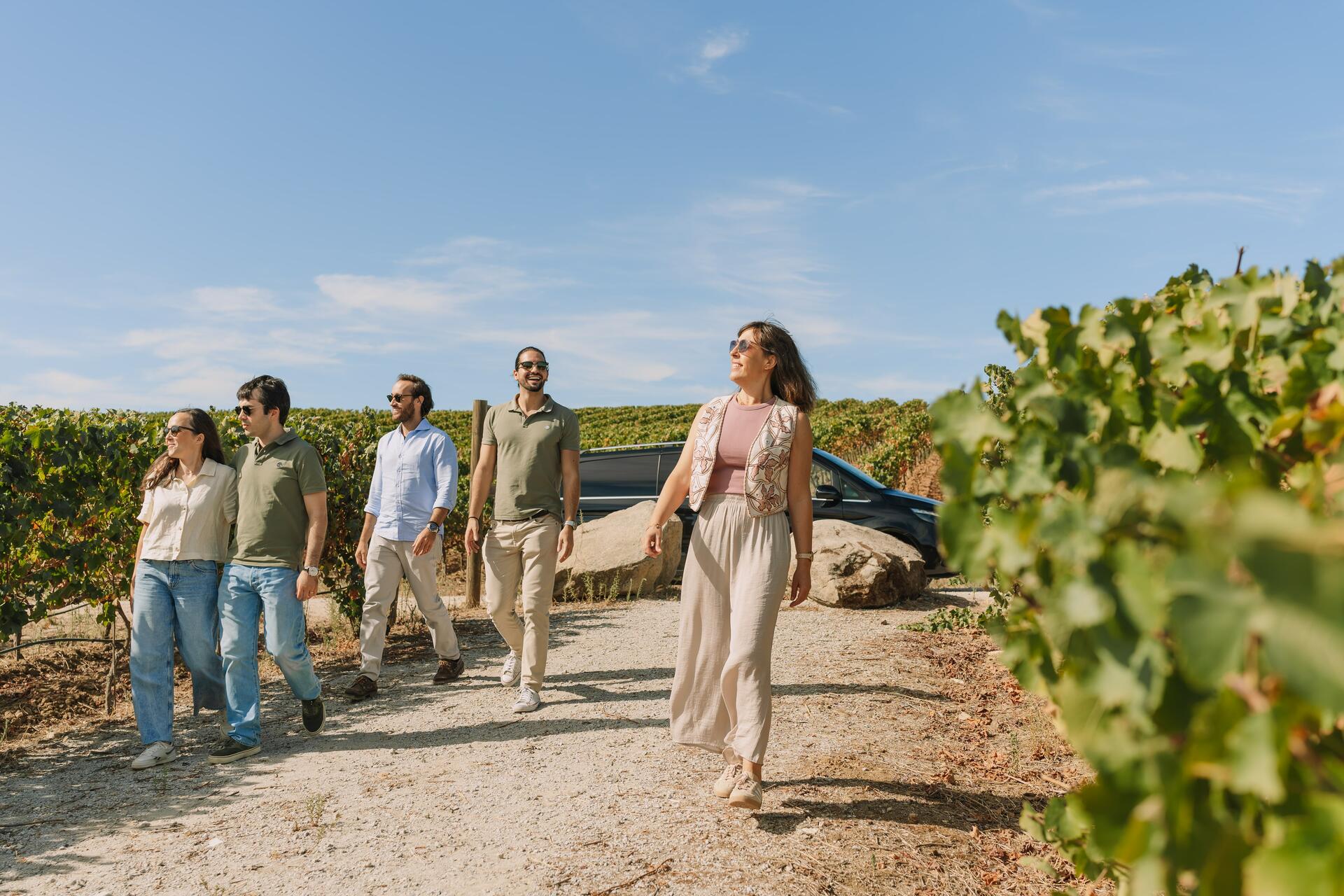 Programa Especial de Vindima