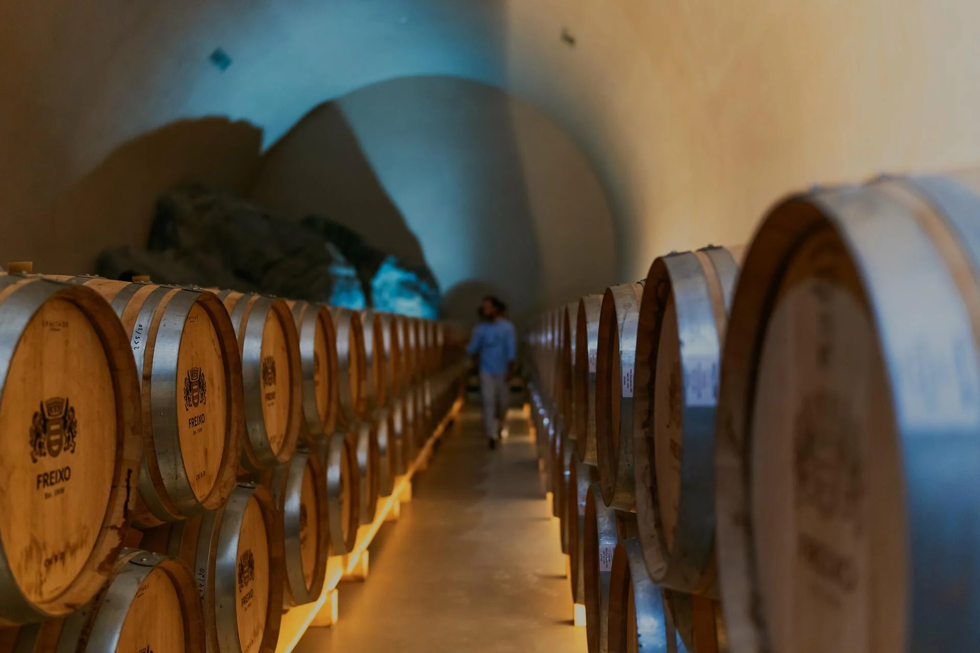 Programa Especial de Vindima