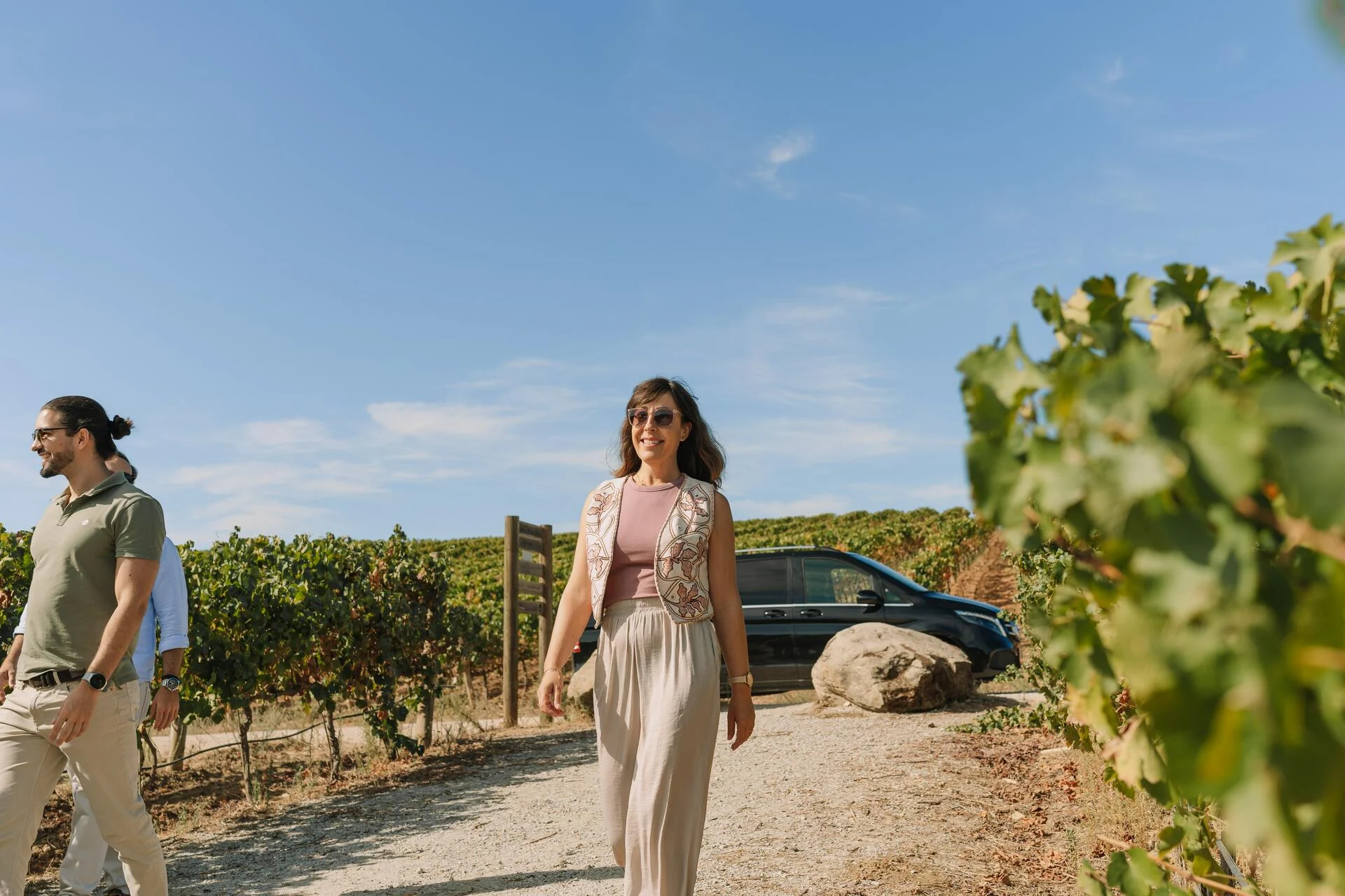 Programa Especial de Vindima