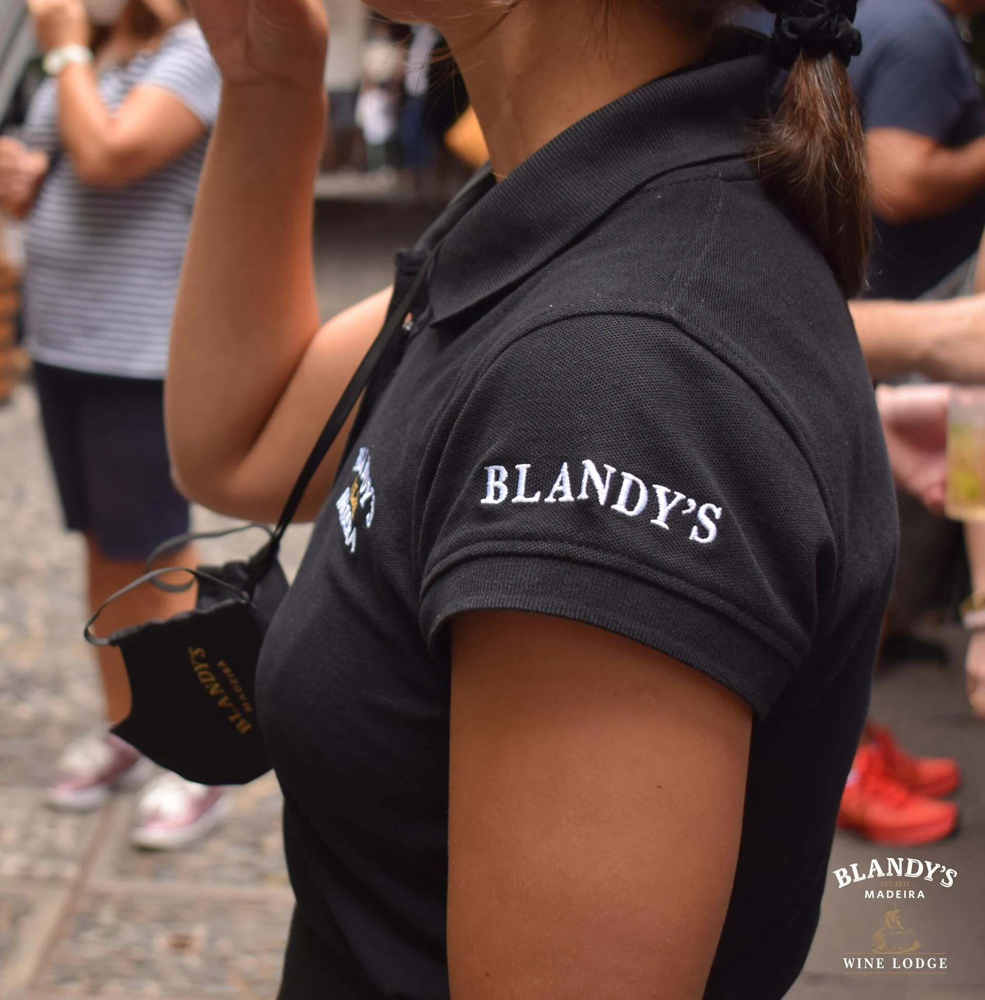 Blandy’s Wine Lodge – Prova Evolução Casta Bual