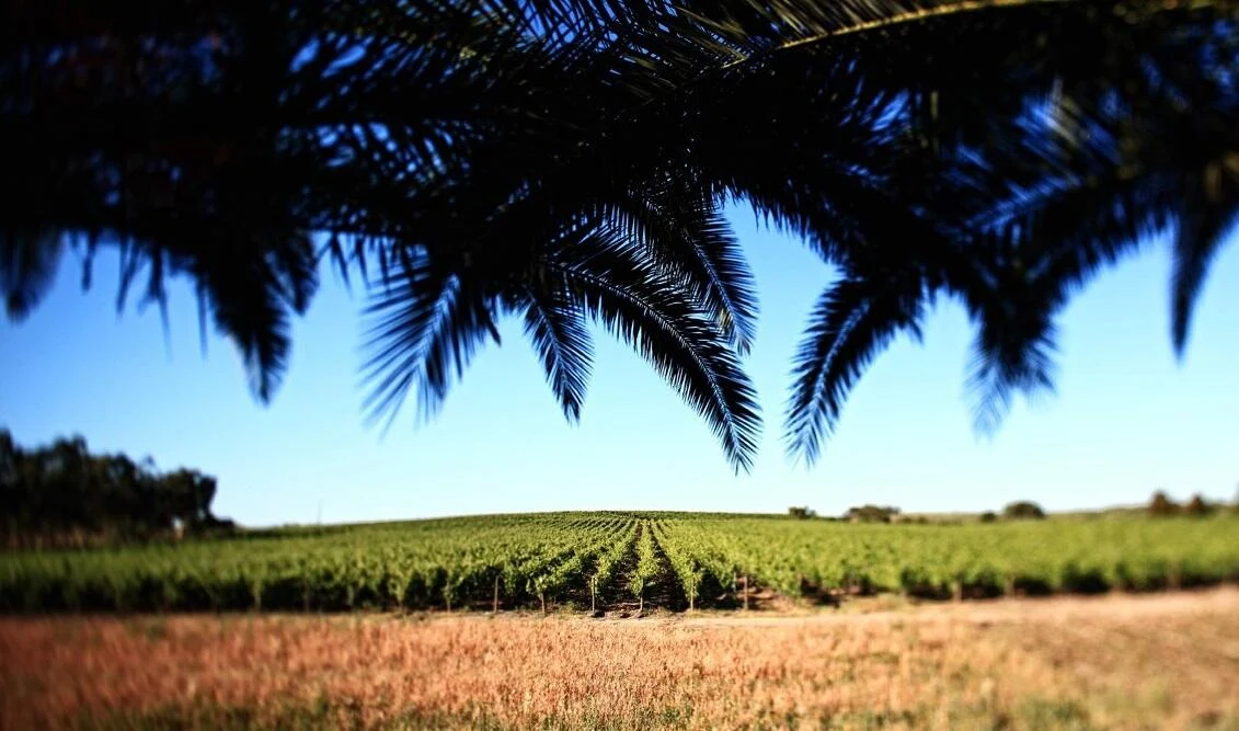 Herdade da Calada – Visita & Prova Ouro