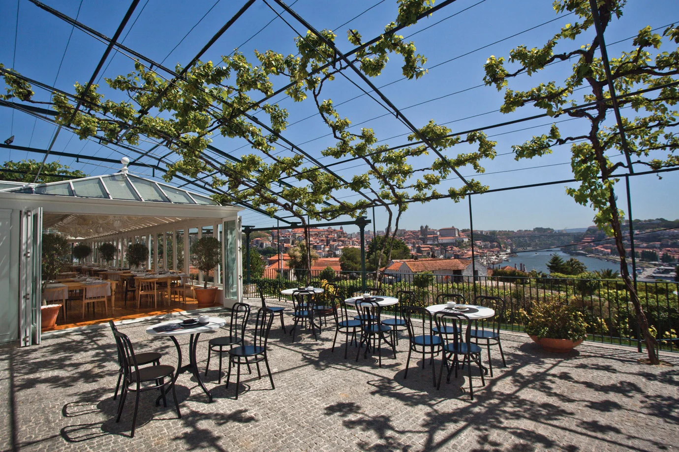 Caves Graham’s – Visita & Prova Harmonizada