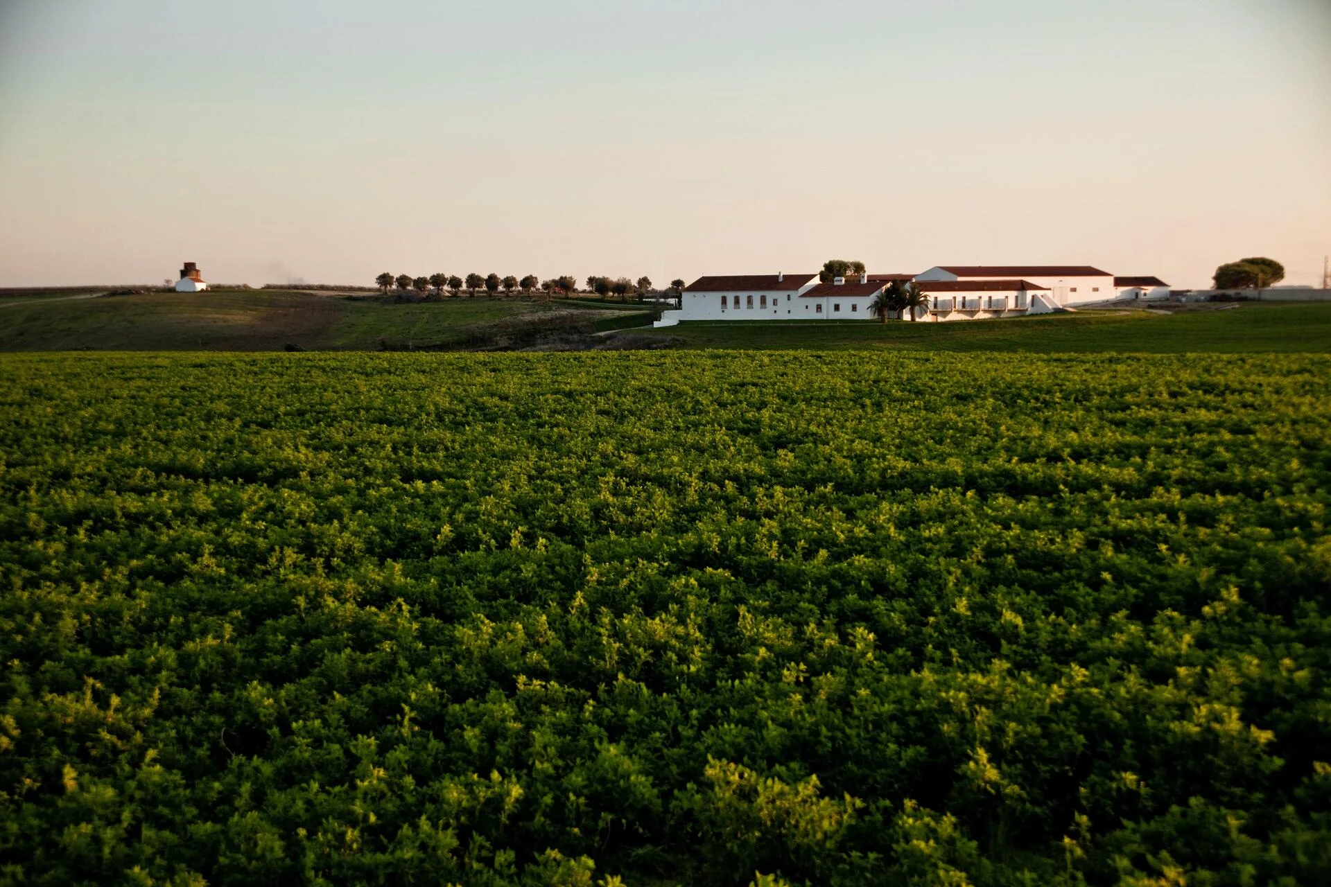 Quinta da Lapa – Visita & Prova “Fora da Caixa”