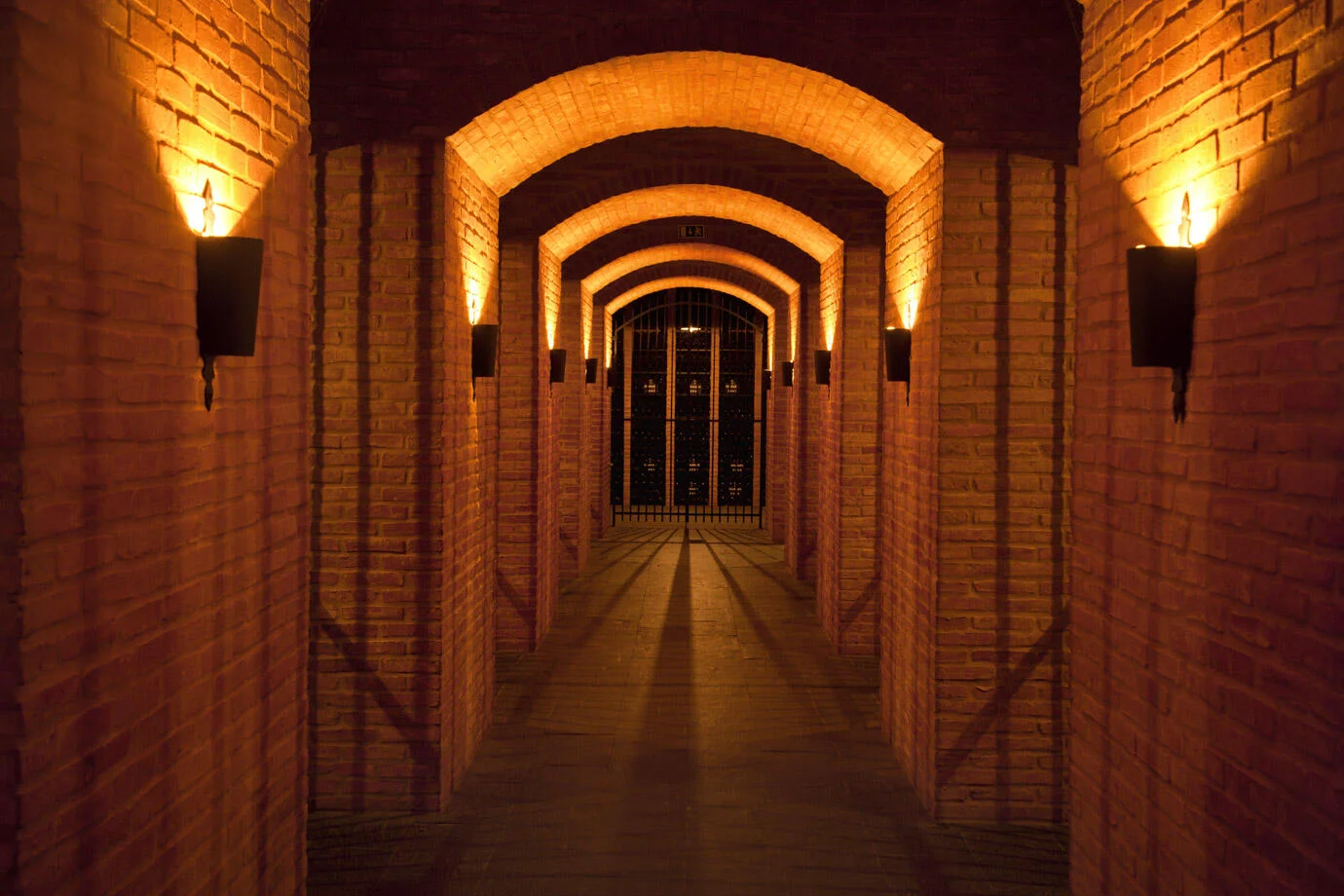 Caves Graham’s – Visita & Prova Directores II