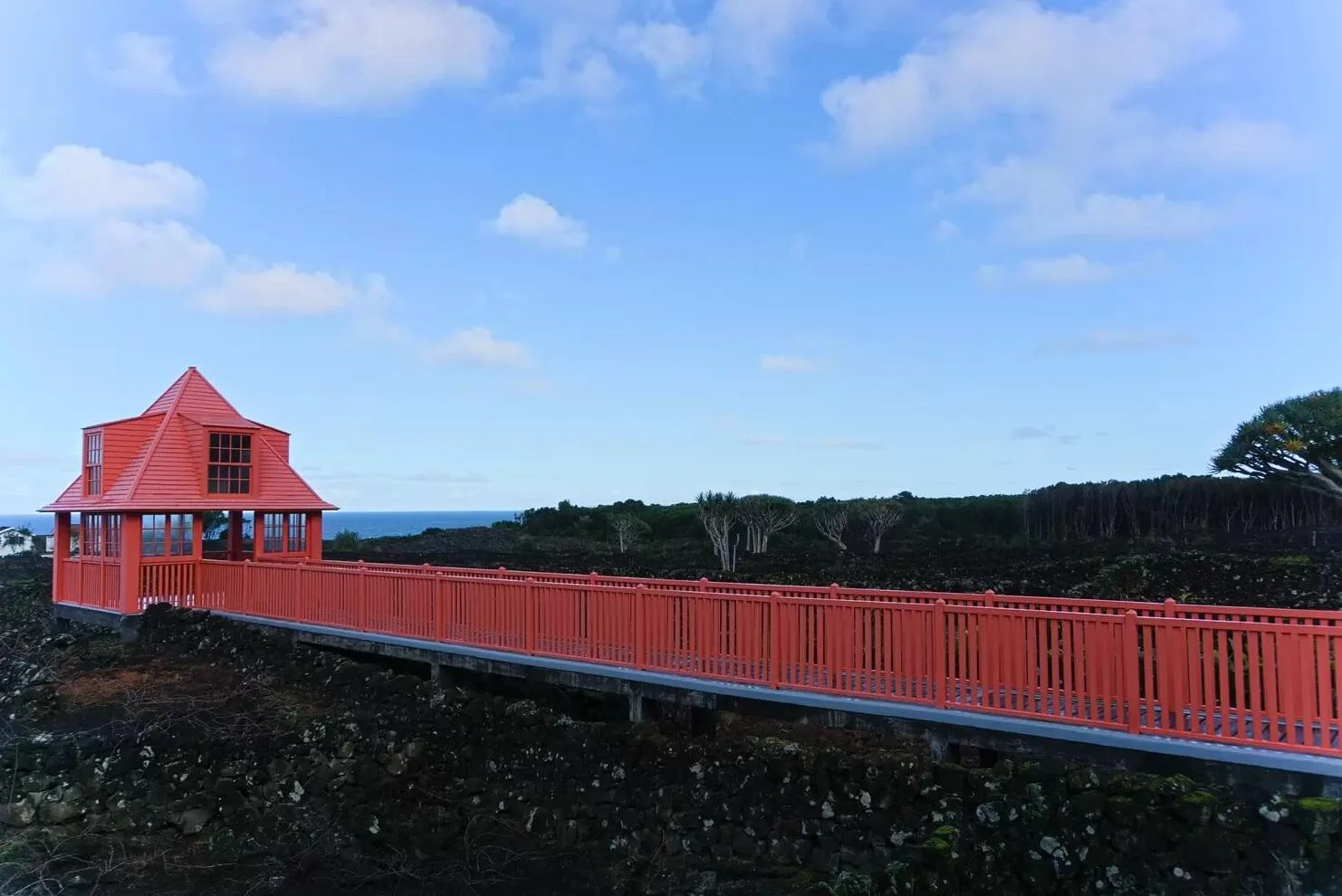 Vinhos Vulcânicos dos Açores