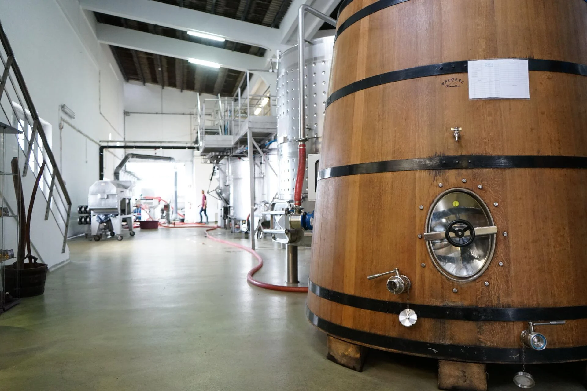 Vinhos Vulcânicos dos Açores