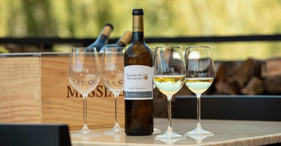 MESSIAS – Messias Bairrada