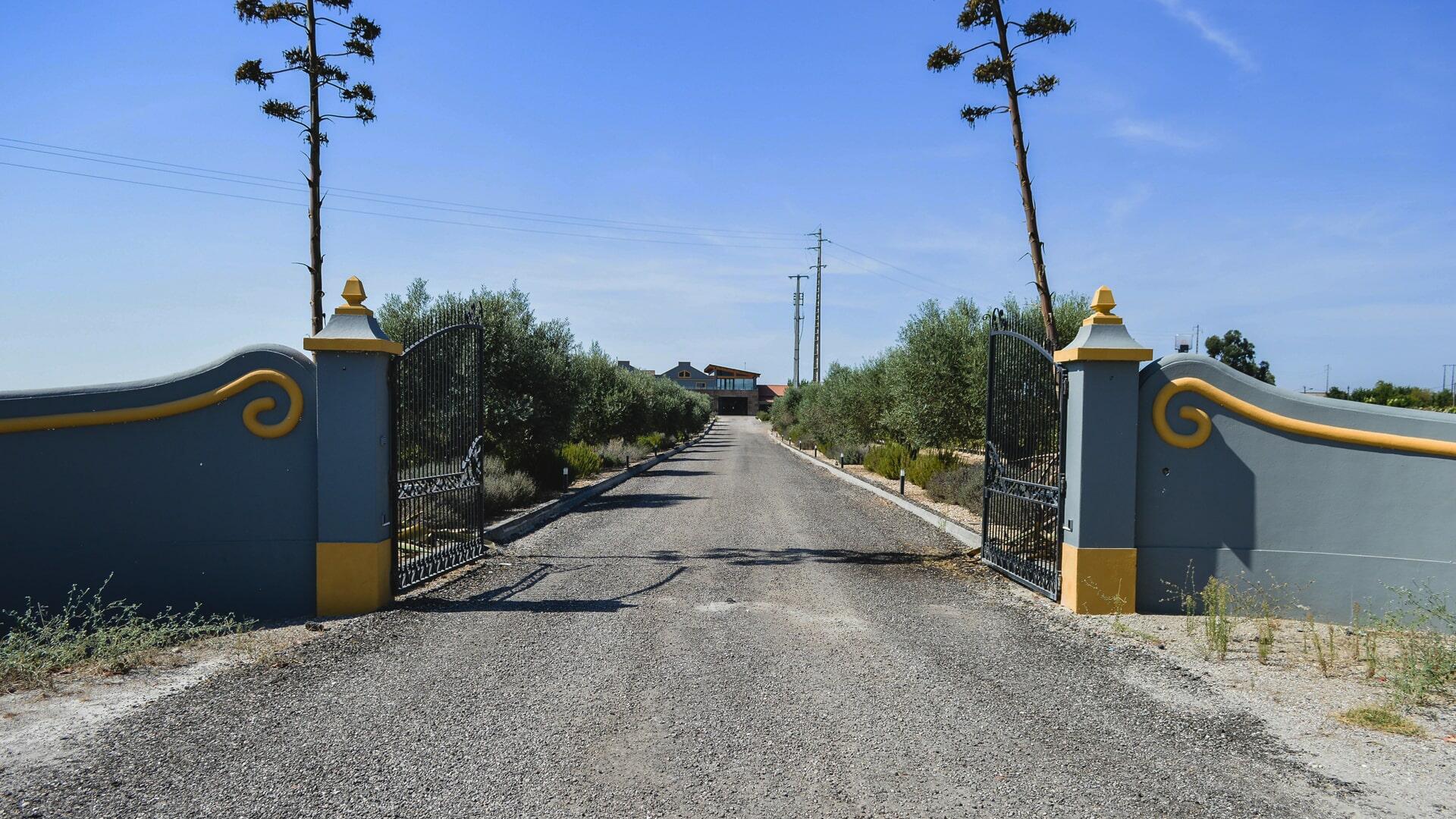 Filipe Palhoça Vinhos – Visita Exclusiva