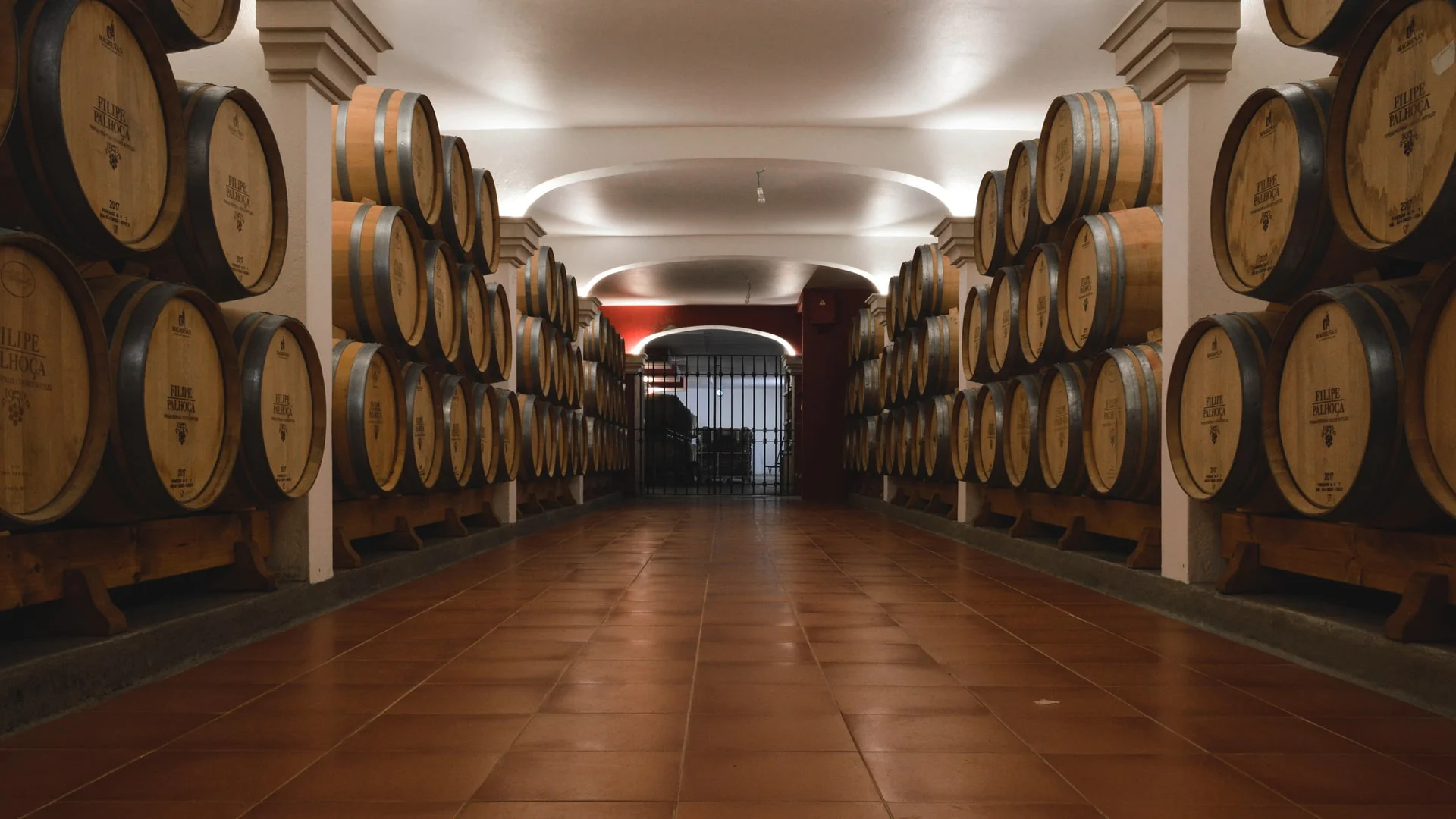 Filipe Palhoça Vinhos – Visita Exclusiva