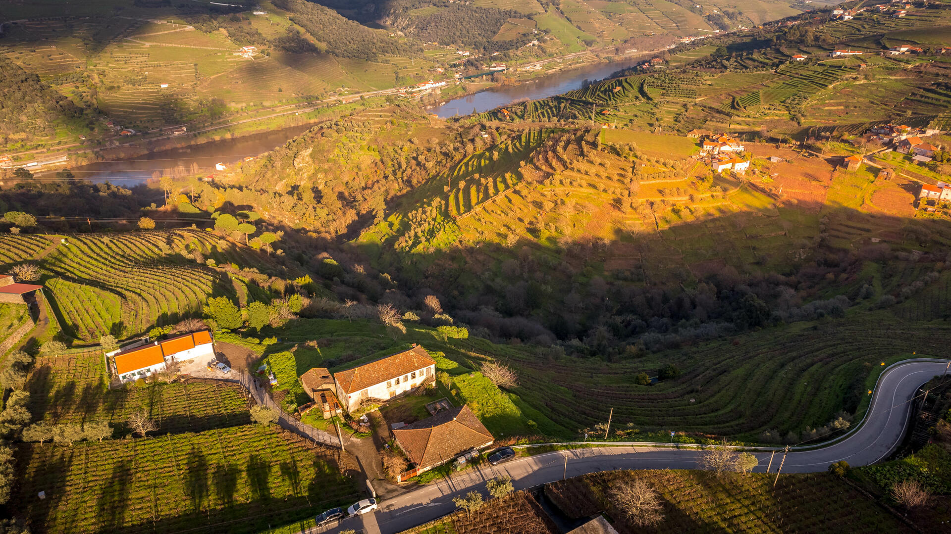 Quinta das Sequeirinhas – Visita & Prova Douro