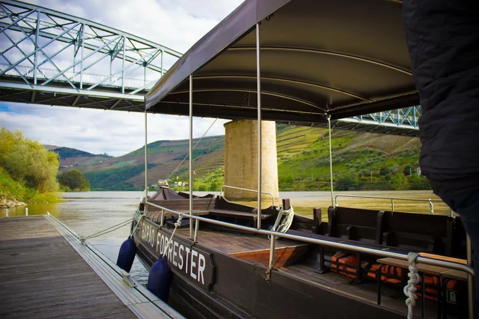 Pinhão – Tua – Pinhão