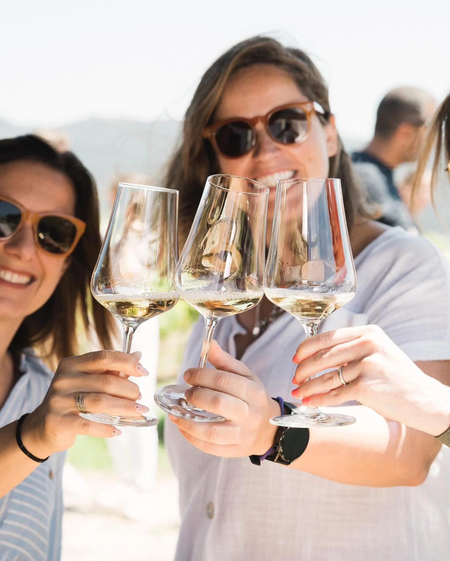 Quinta de San Michel – A Espuma de Janas