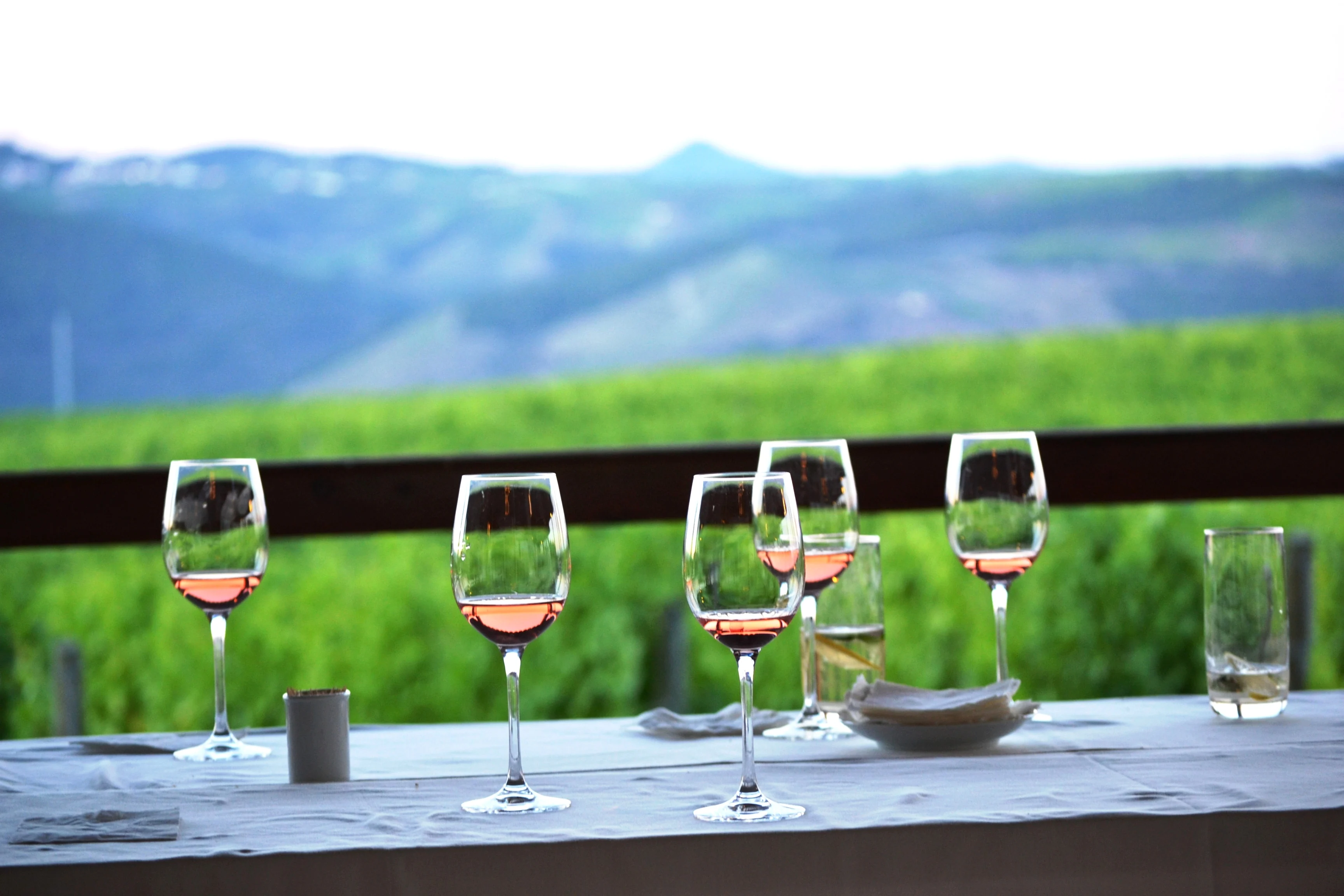 The Manor House – Introdução ao Vinho do Porto