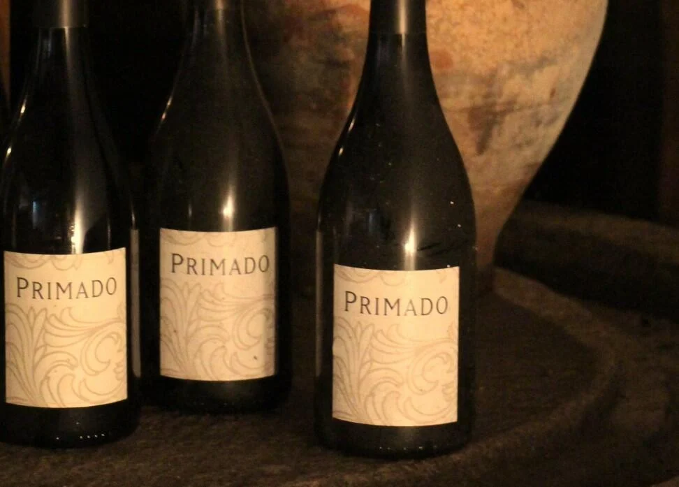 Pereira de Melo Wines – Visita & Prova Rarity