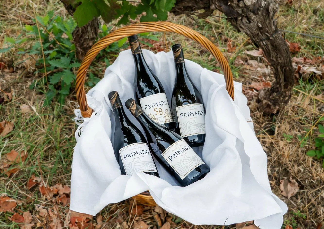 Pereira de Melo Wines – Tapas na Vinha